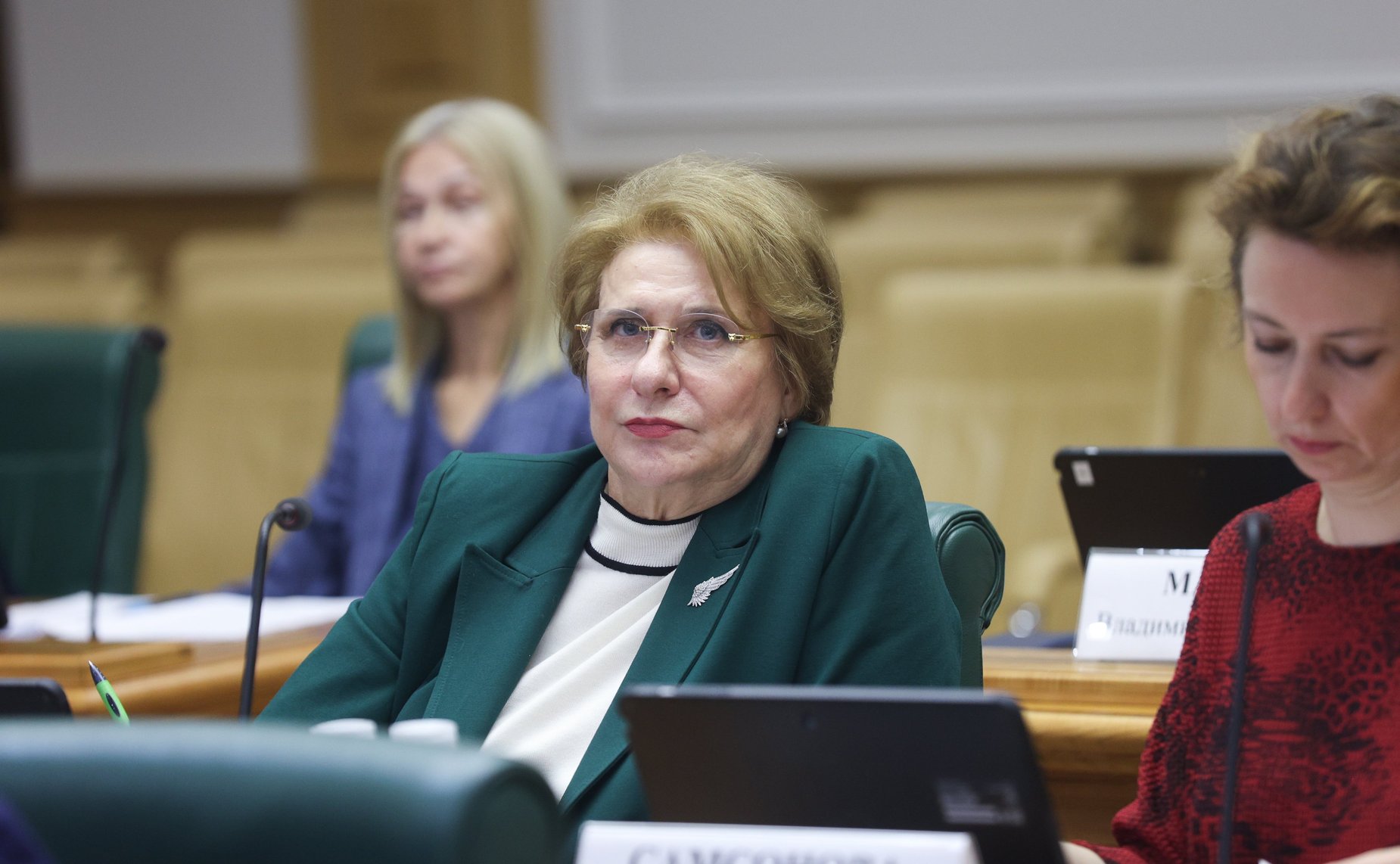 Заседание экспертно-консультативного совета при Комитете Совета Федерации по конституционному законодательству и государственному строительству