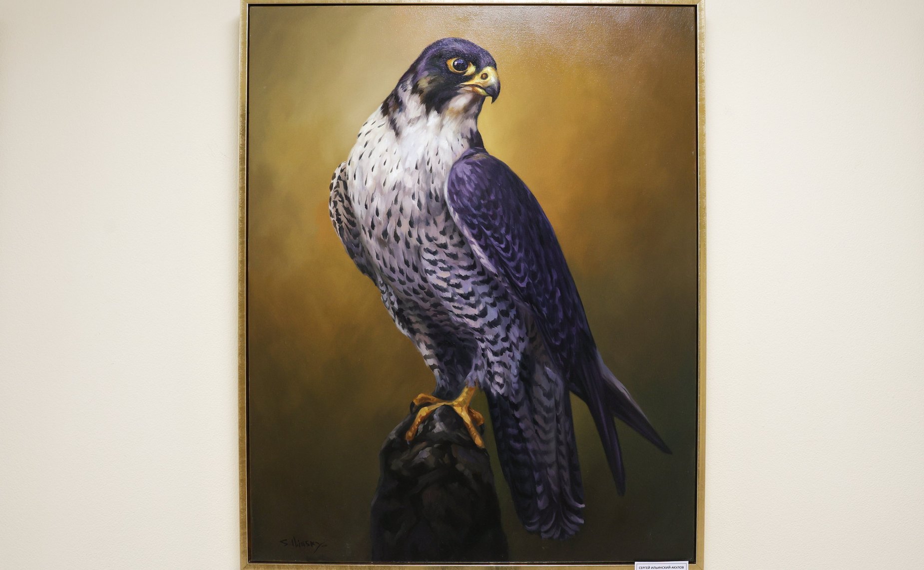 Открытие в Совете Федерации выставки творческих работ президента Международного союза художников-анималистов Сергея Ильинского-Акулова