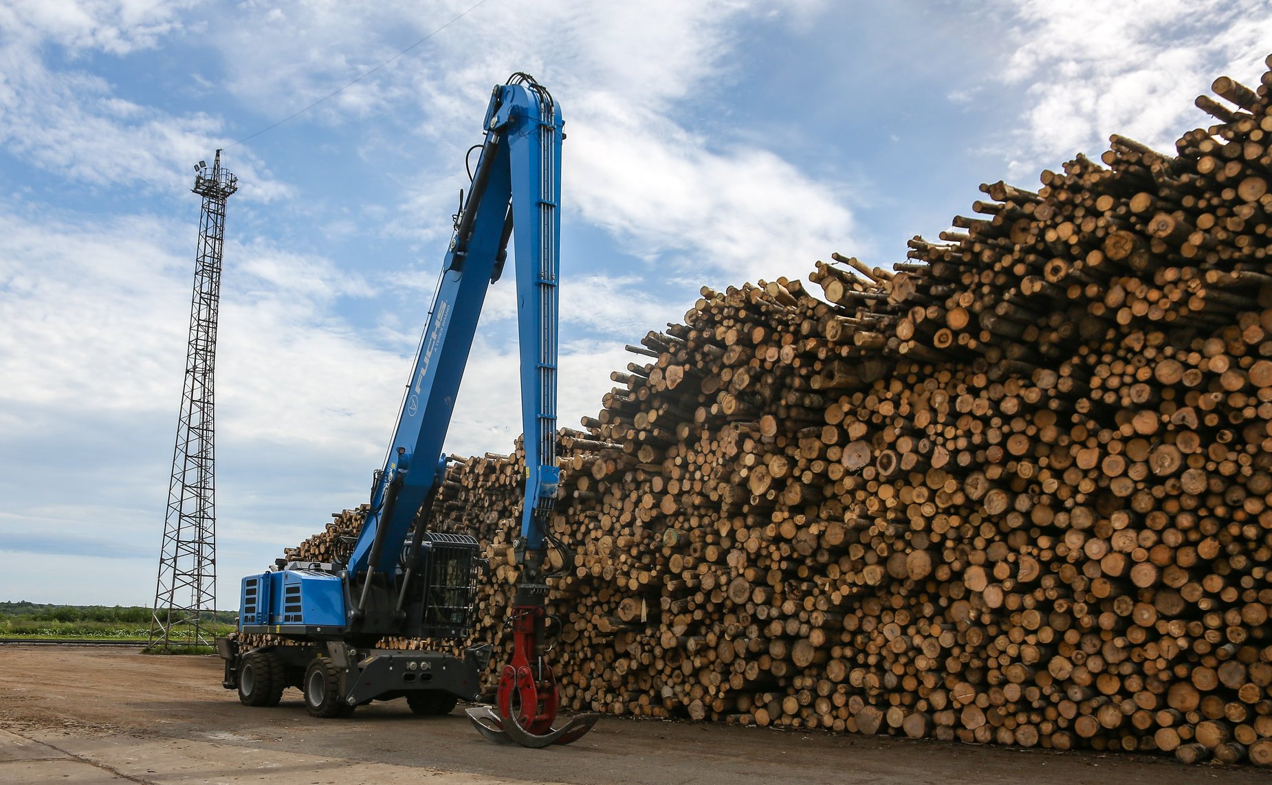 Выездное заседание Совета по вопросам развития лесного комплекса Российской Федерации при Совете Федерации