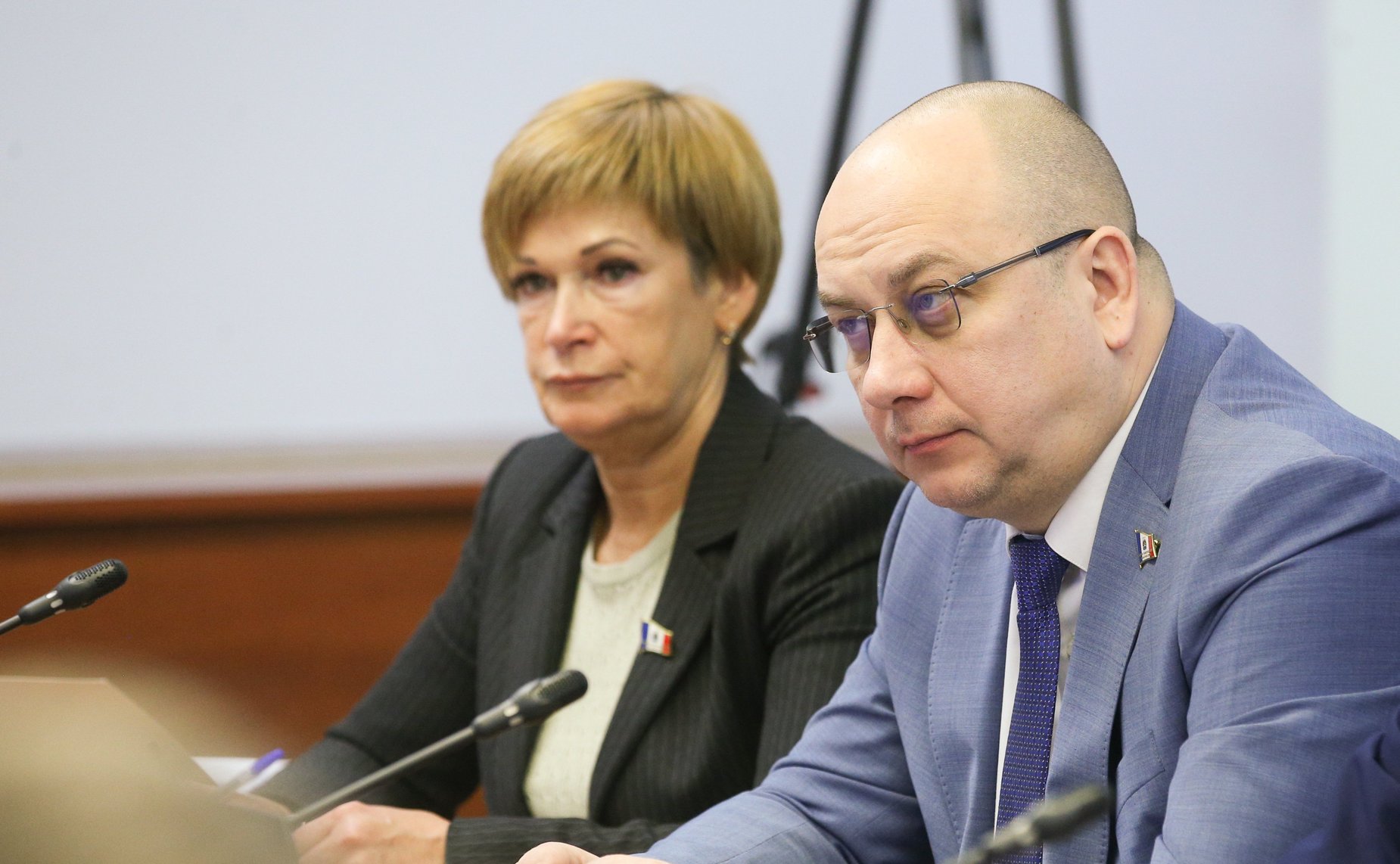 Расширенное заседание Комитета СФ по социальной политике (в рамках Дней Новгородской области в СФ)