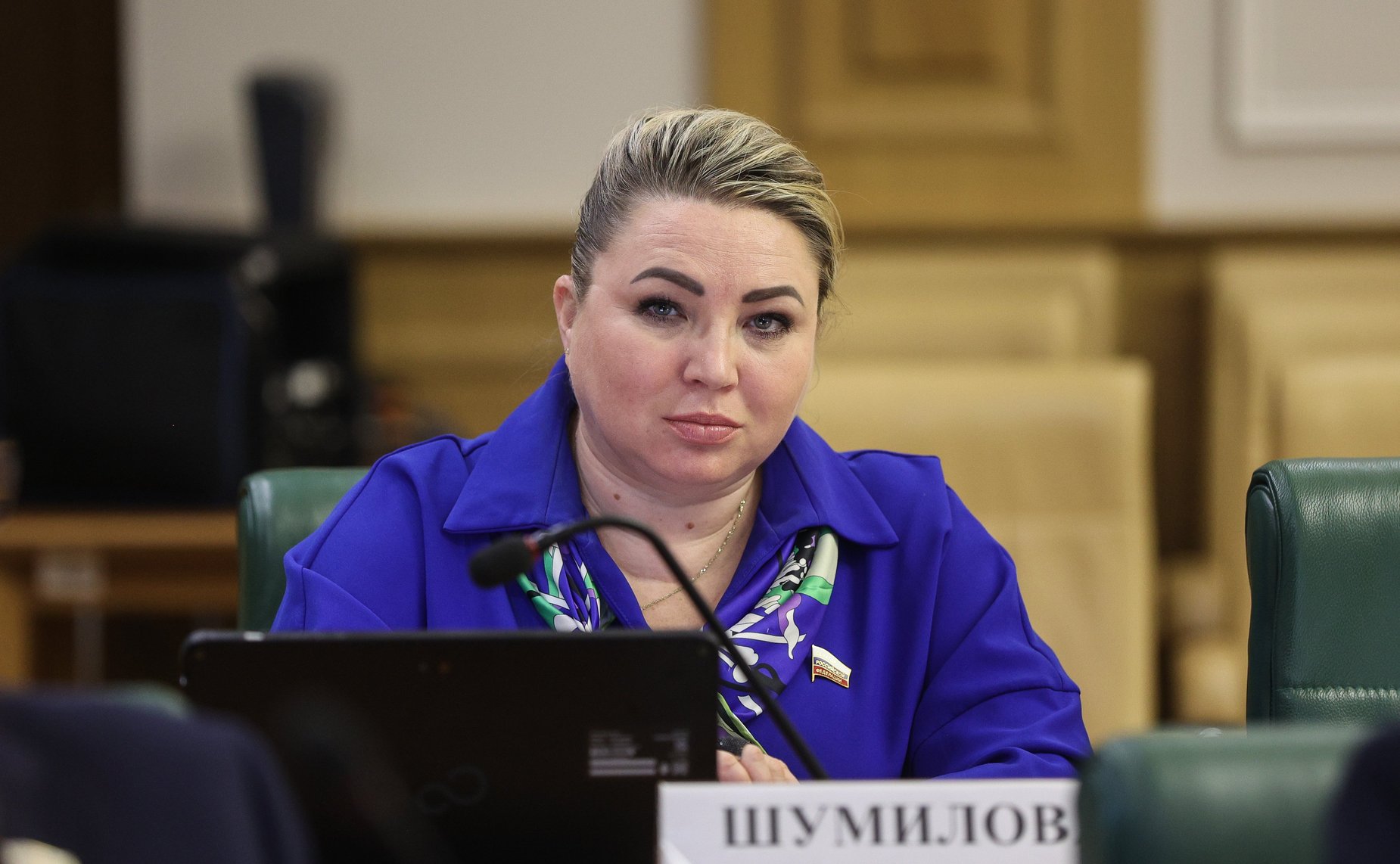 Елена Шумилова