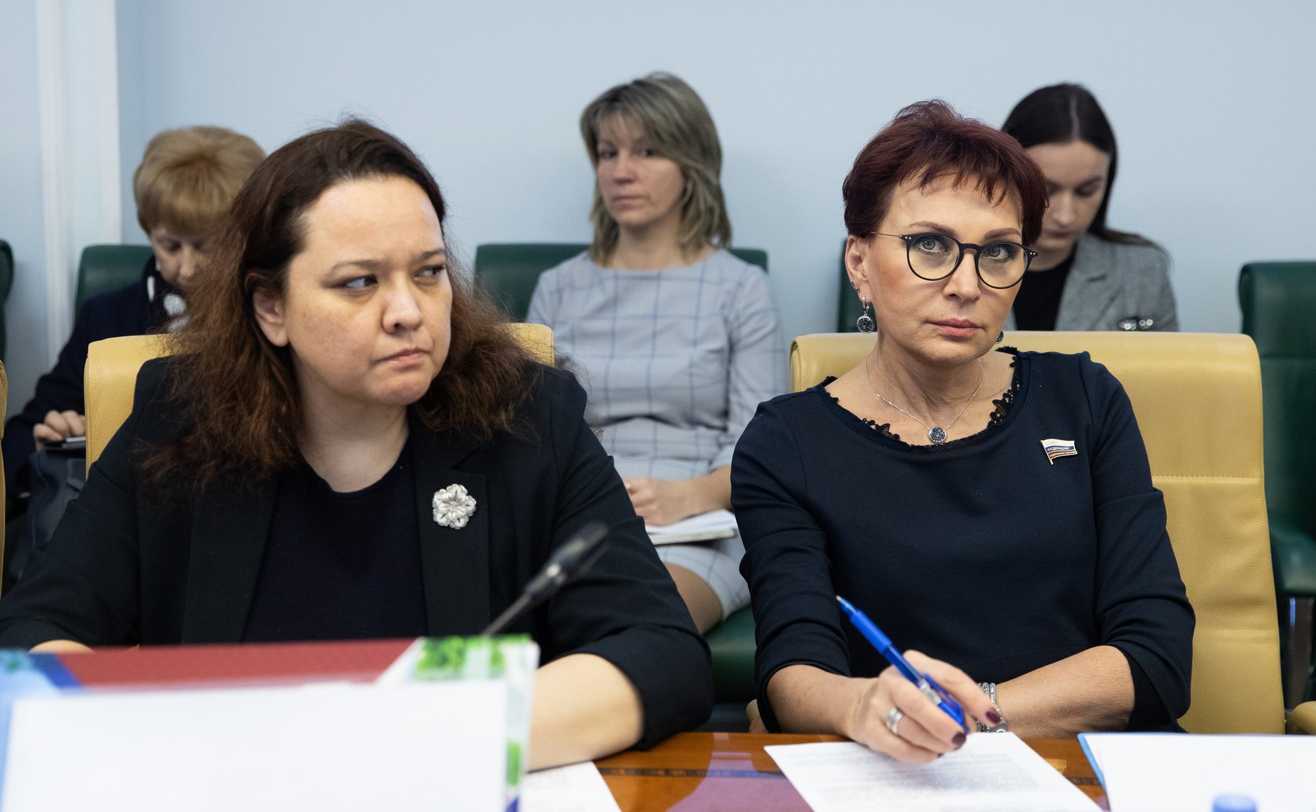 Расширенное заседание Комитета СФ по социальной политике