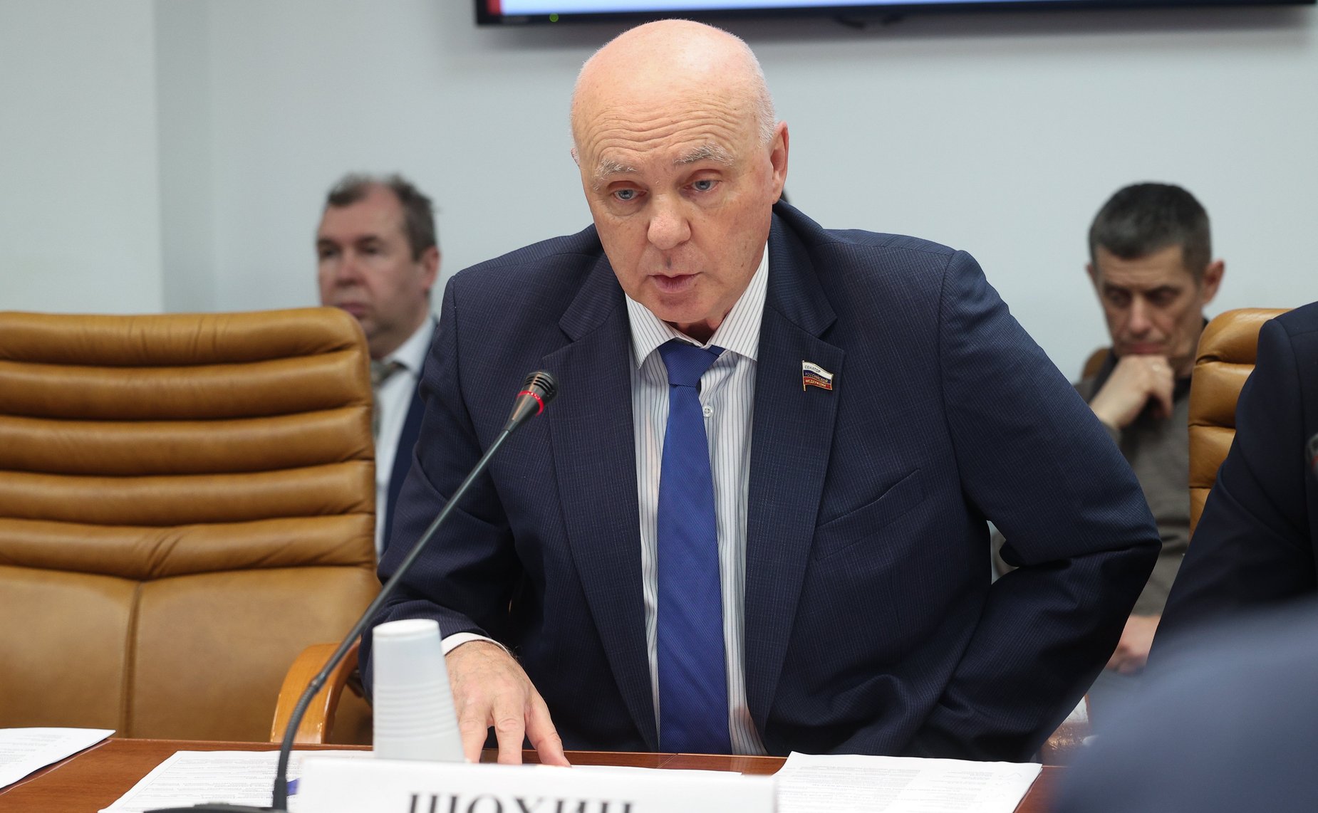 Андрей Шохин