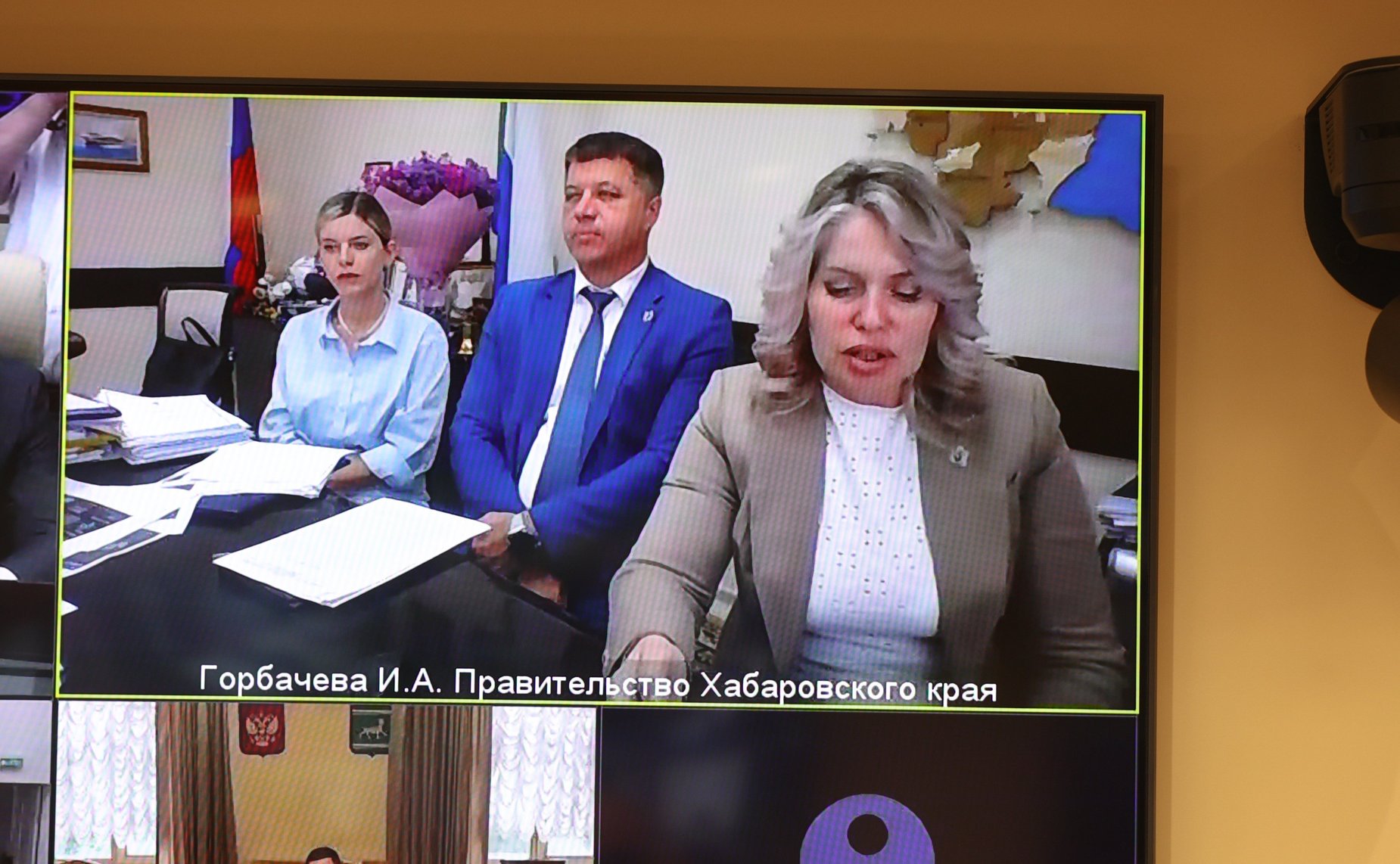 Заседание Совета по вопросам газификации субъектов Российской Федерации при Совете Федерации
