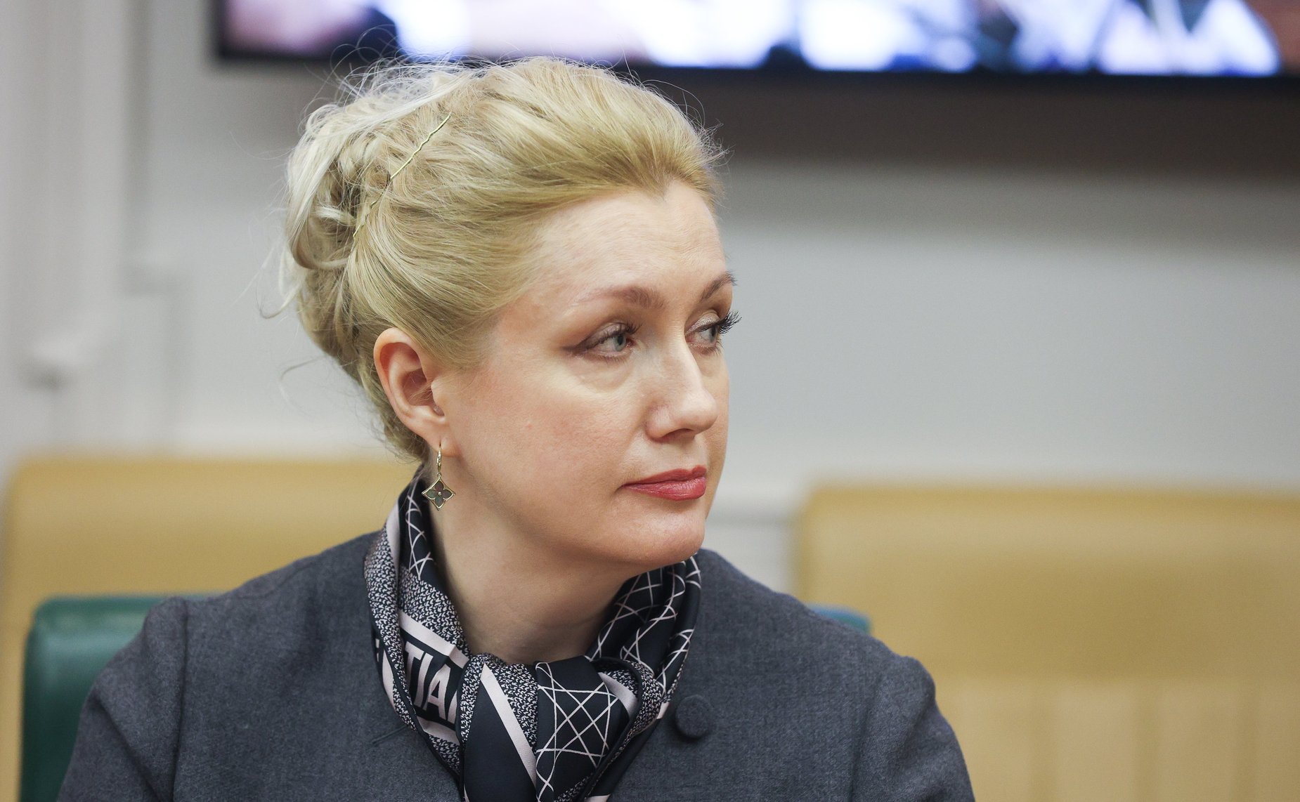 Круглый стол Комитета СФ по конституционному законодательству и государственному строительству «Актуальные вопросы нормативно-правового регулирования нотариальной деятельности»