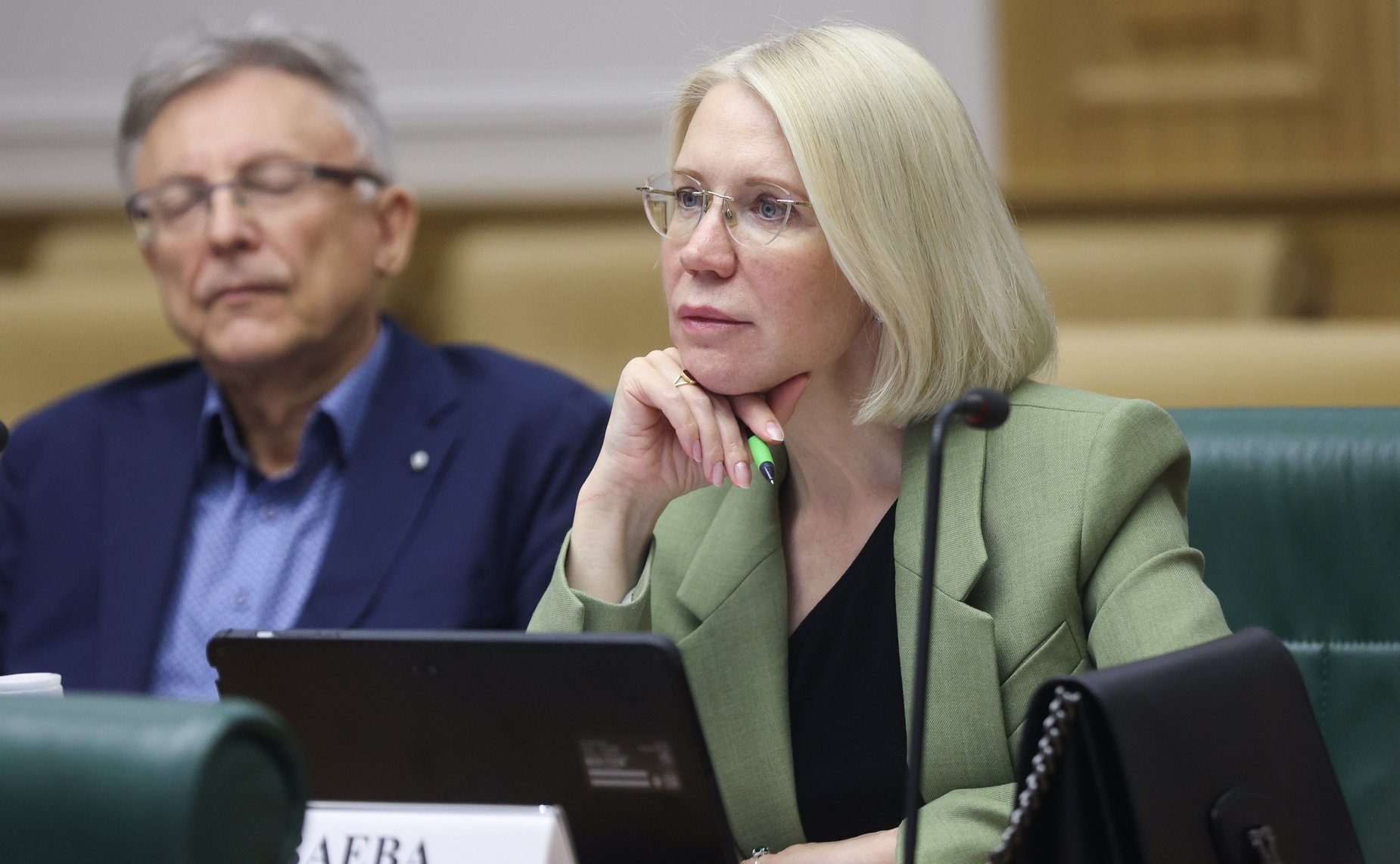 Заседание экспертно-консультативного совета при Комитете Совета Федерации по конституционному законодательству и государственному строительству