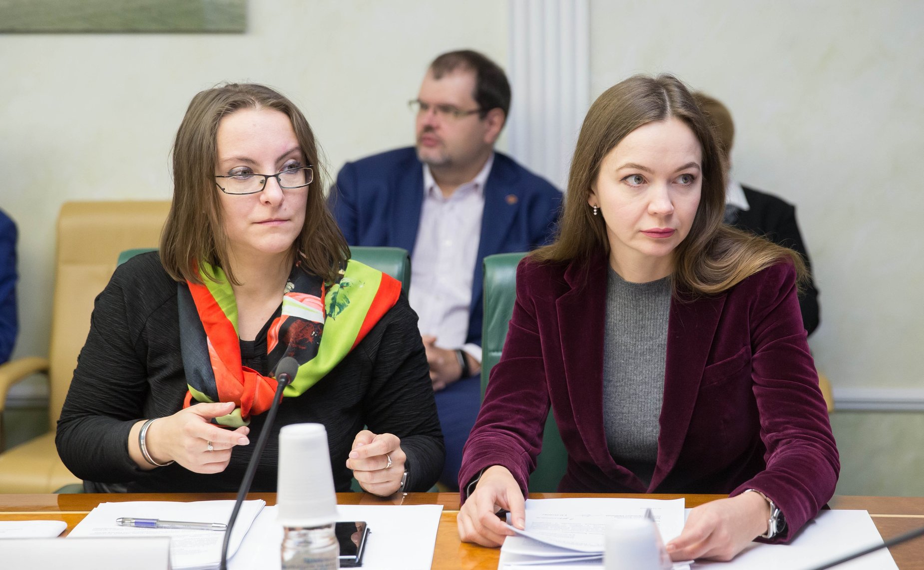 Заседание рабочей группы Комитета СФ по Регламенту и организации парламентской деятельности