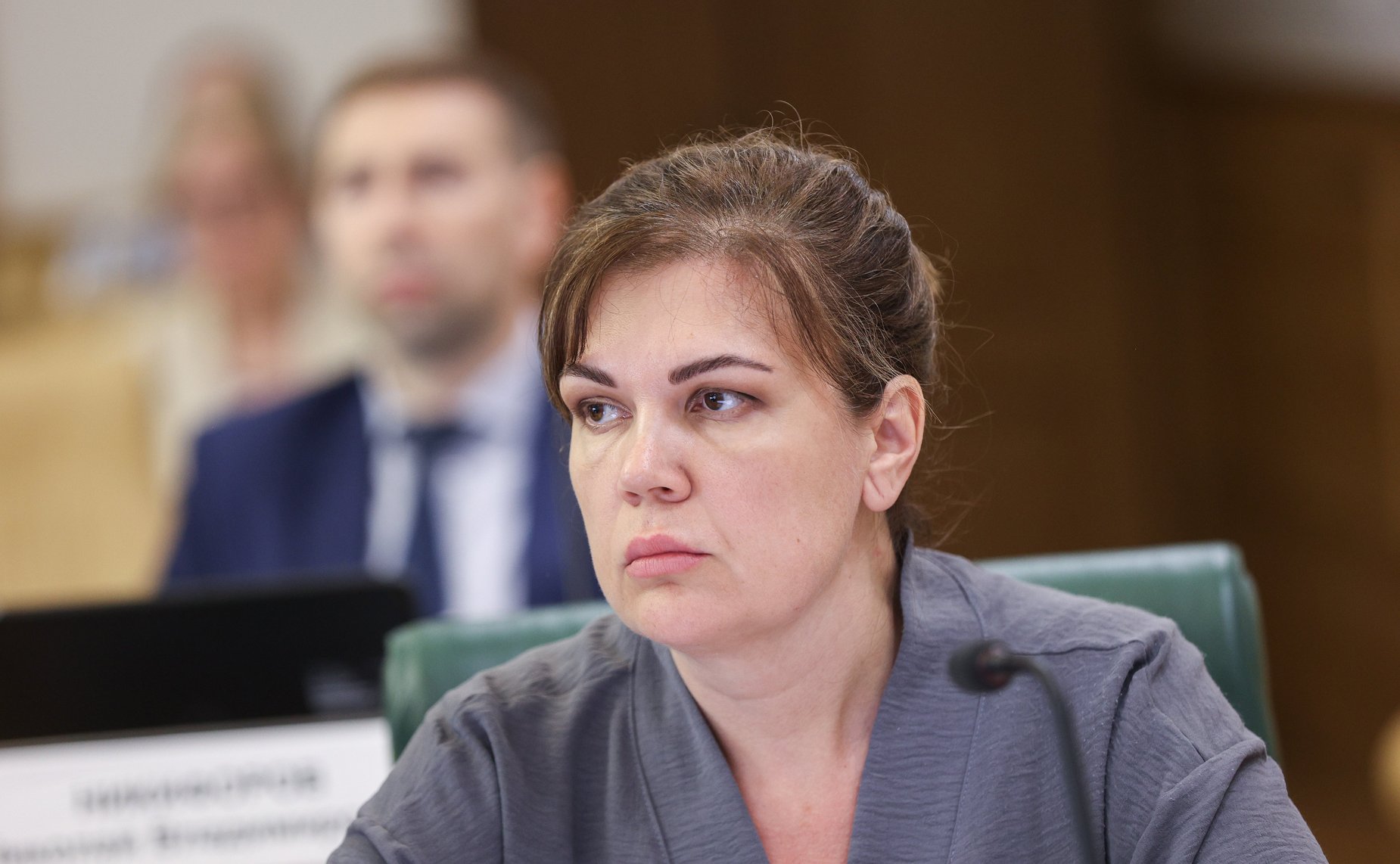 Заседание Комитета СФ по науке, образованию и культуре