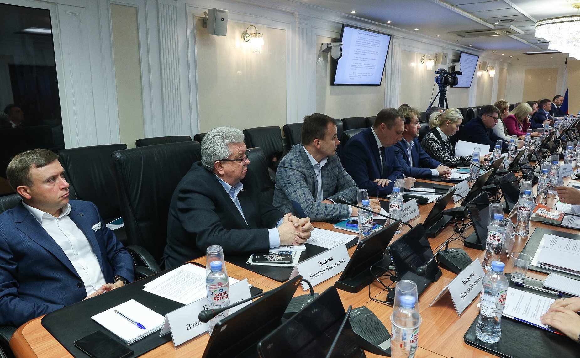 Заседание Экспертного совета по физической культуре и спорту при Комитете СФ по социальной политике