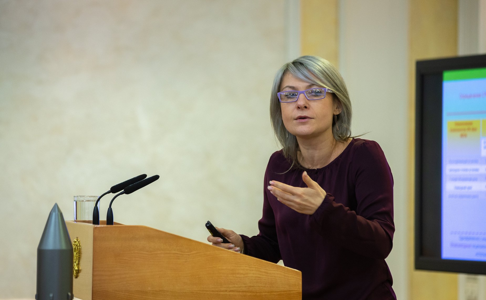 Заседание Совета по вопросам интеллектуальной собственности