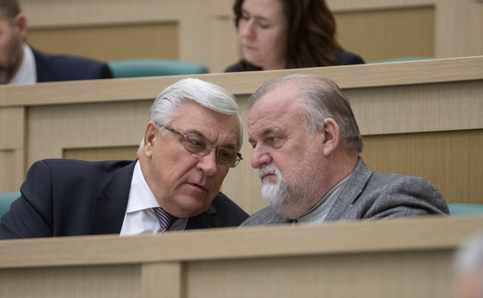 Заседание Совета по интеллектуальной собственности при СФ