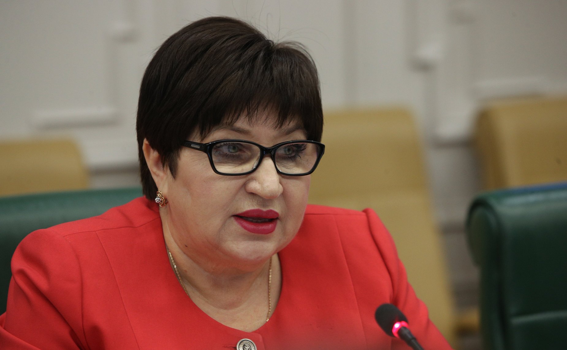 Совещание Комитета СФ по социальной политике