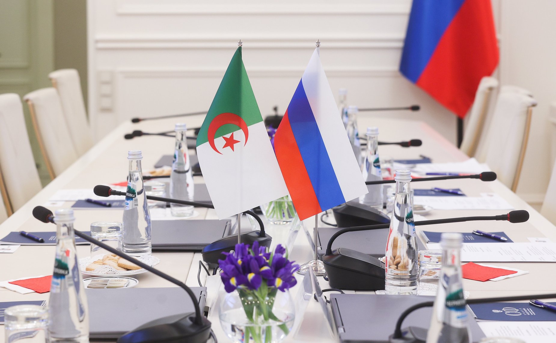 Встреча Михаила Борщева с Чрезвычайным и Полномочным Послом Алжирской Народной Демократической Республики в Российской Федерации