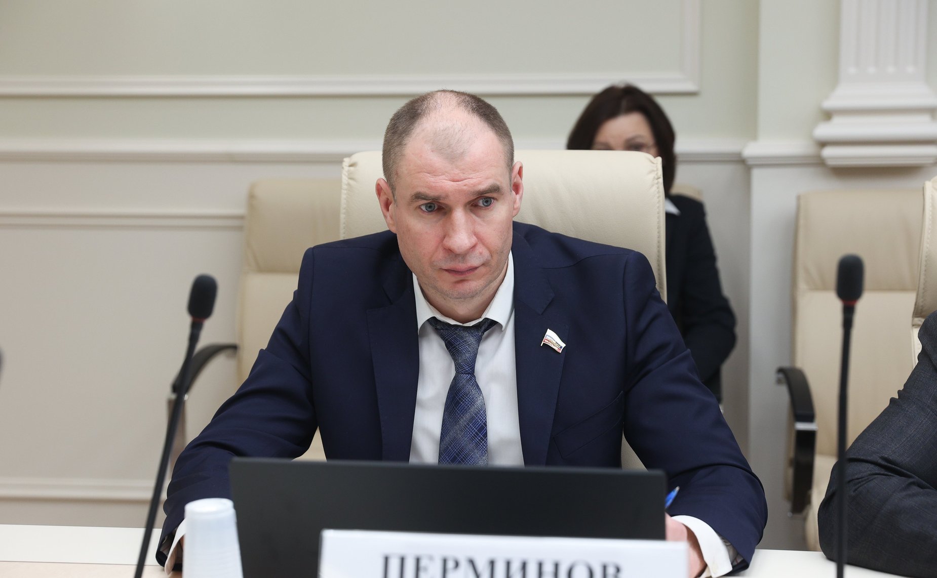 Дмитрий Перминов