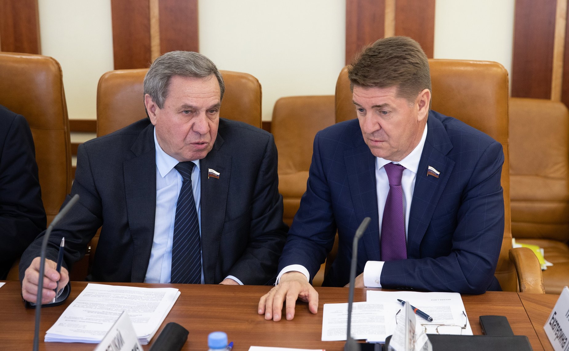 Заседание Комитета СФ по федеративному устройству, региональной политике, местному самоуправлению и делам Севера