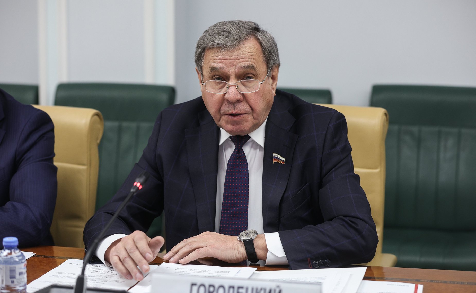 Владимир Городецкий