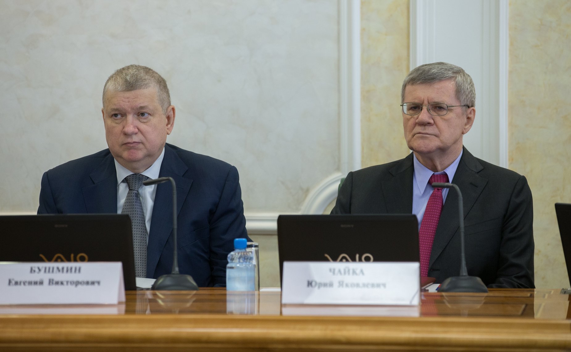 Е. Бушмин и Ю. Чайка