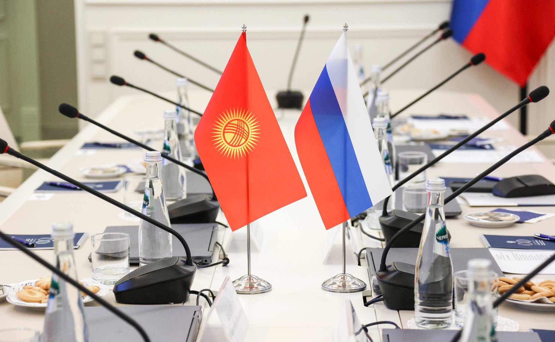 Встреча председателя Комитета СФ по науке, образованию и культуре Лилии Гумеровой с председателем Комитета по труду, здравоохранению, делам женщин и социальным вопросам Жогорку Кенеша Киргизской Республики