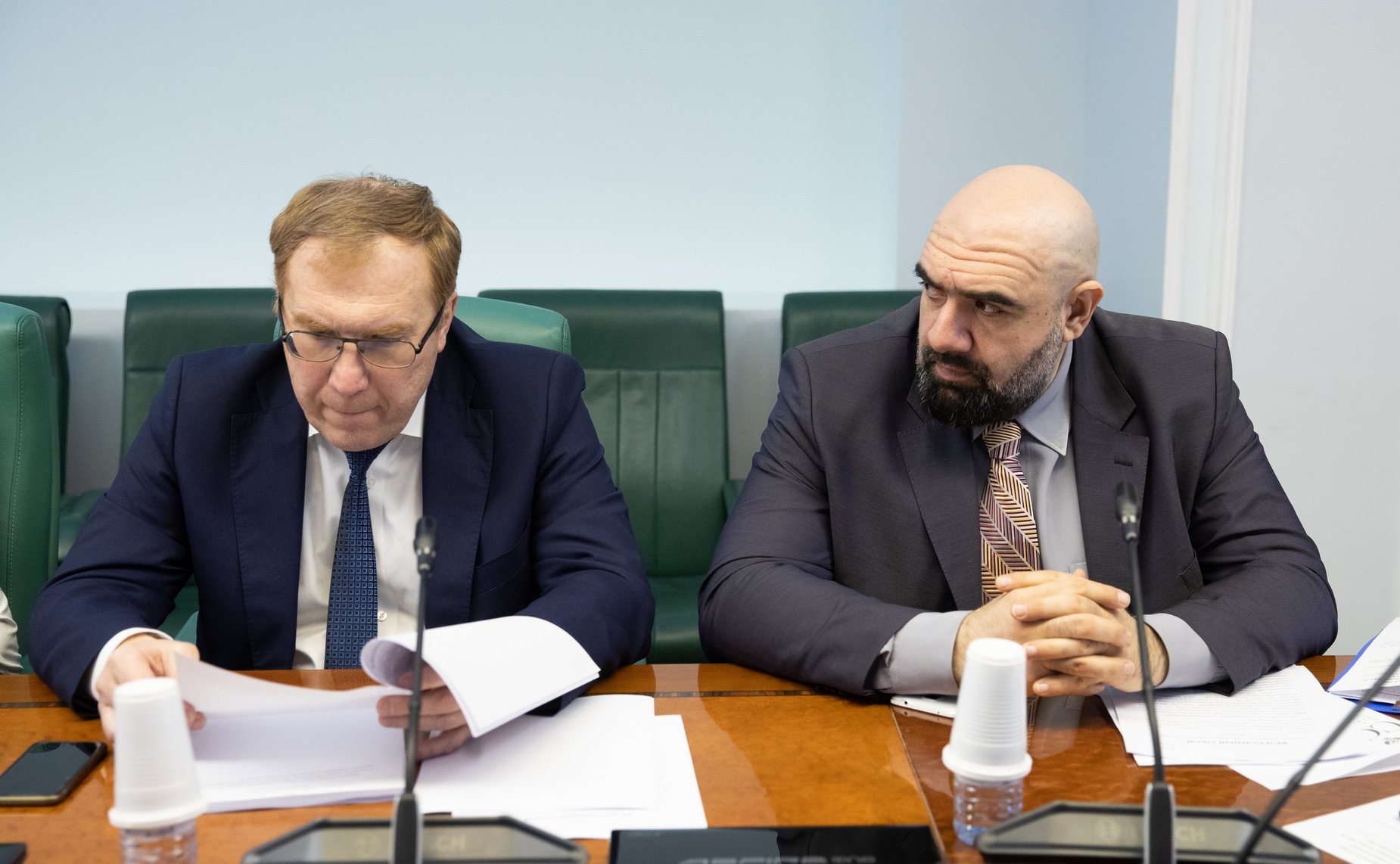 Заседание Экспертно-консультативного совета при Комитете СФ по конституционному законодательству и государственному строительству