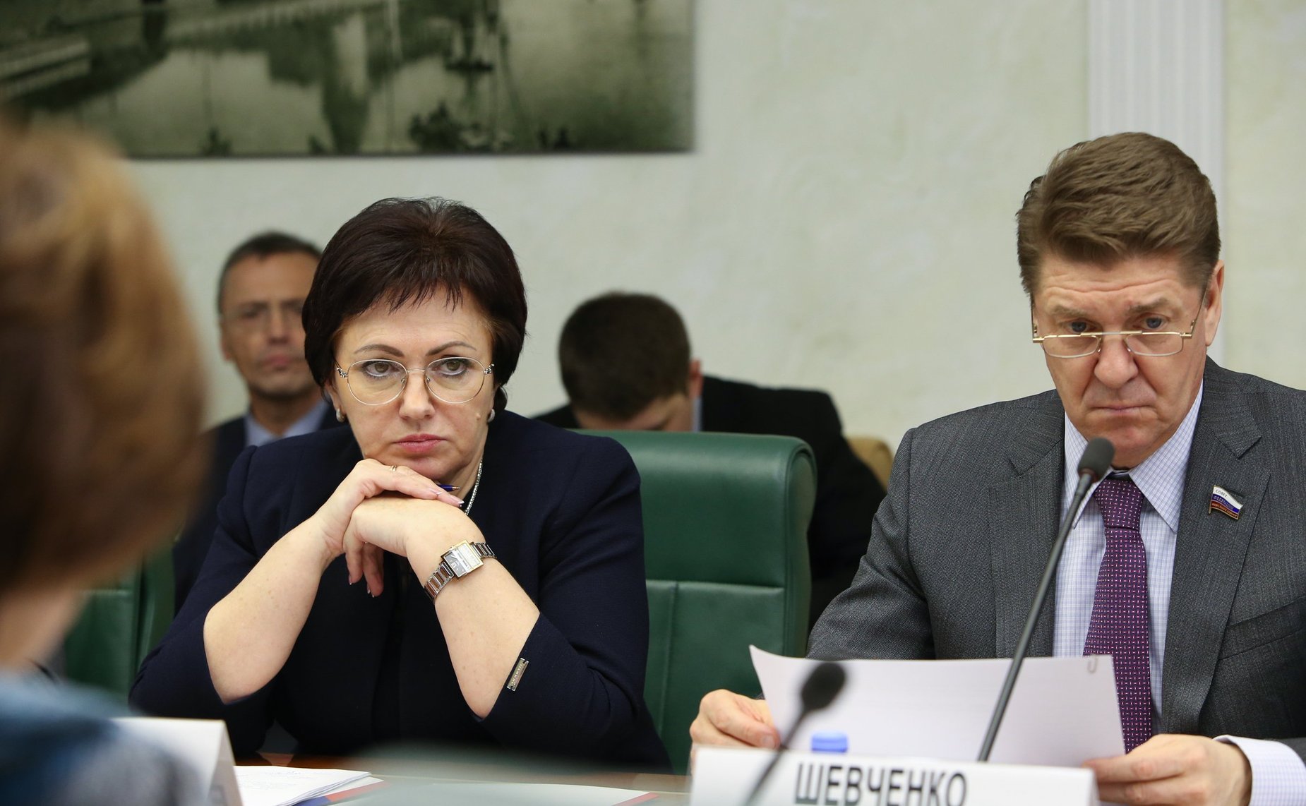 Елена Бибикова