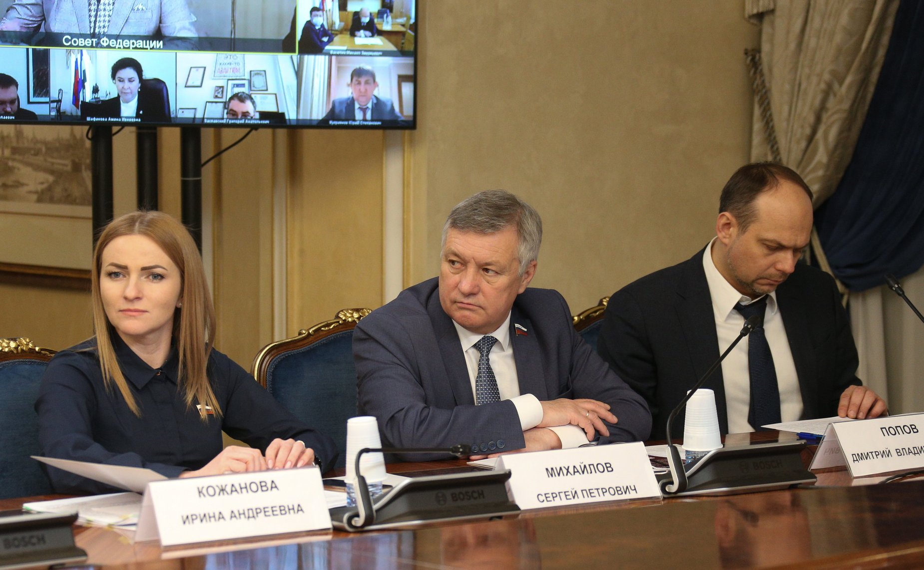 Расширенное заседание Комитета СФ по науке, образованию и культуре