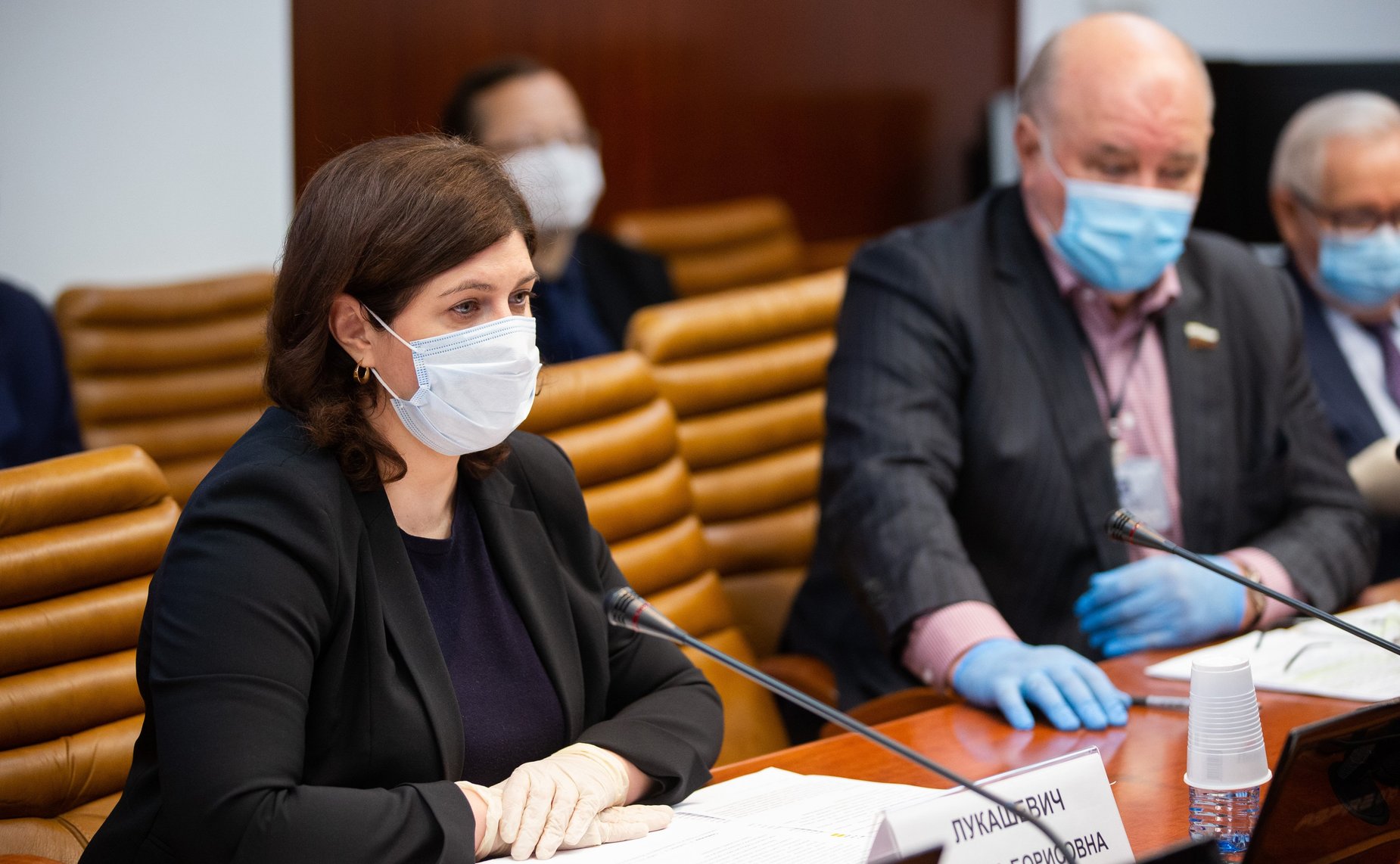 Заседание Комитета СФ по науке, образованию и культуре