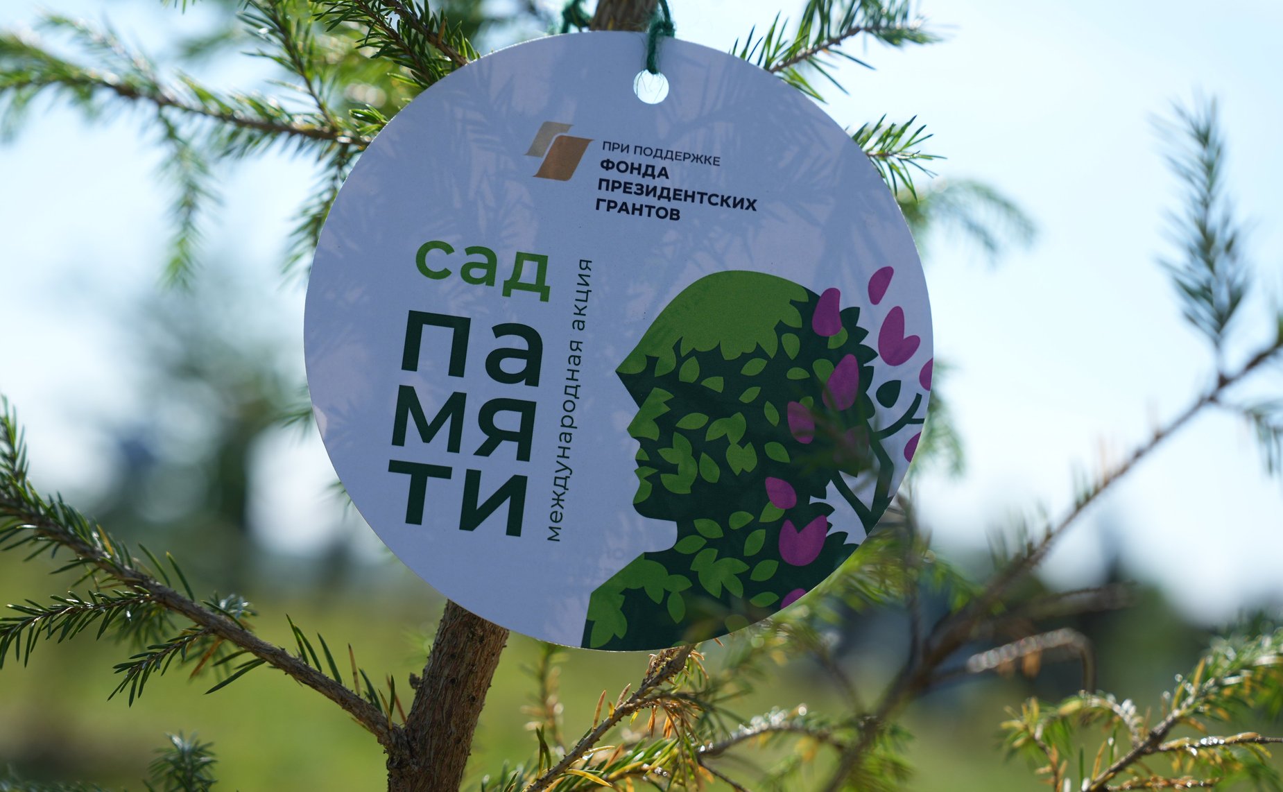 Татьяна Сахарова приняла участие в высадке деревьев в первом «зеленом мемориале» в честь павших бойцов в СВО