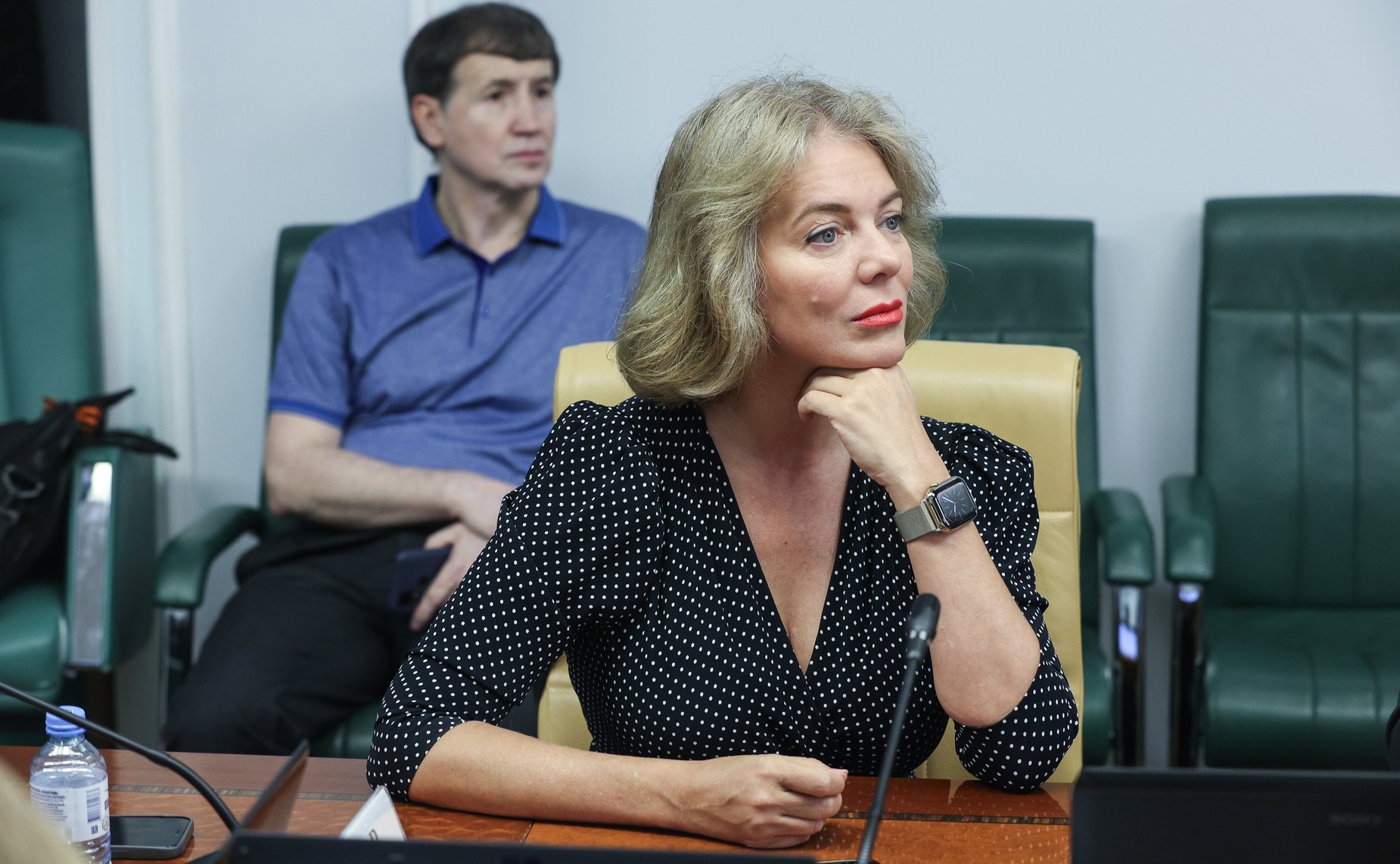 Круглый стол Комитета Совета Федерации по экономической политике «О разработке мастер-планов комплексного развития территорий в Российской Федерации»