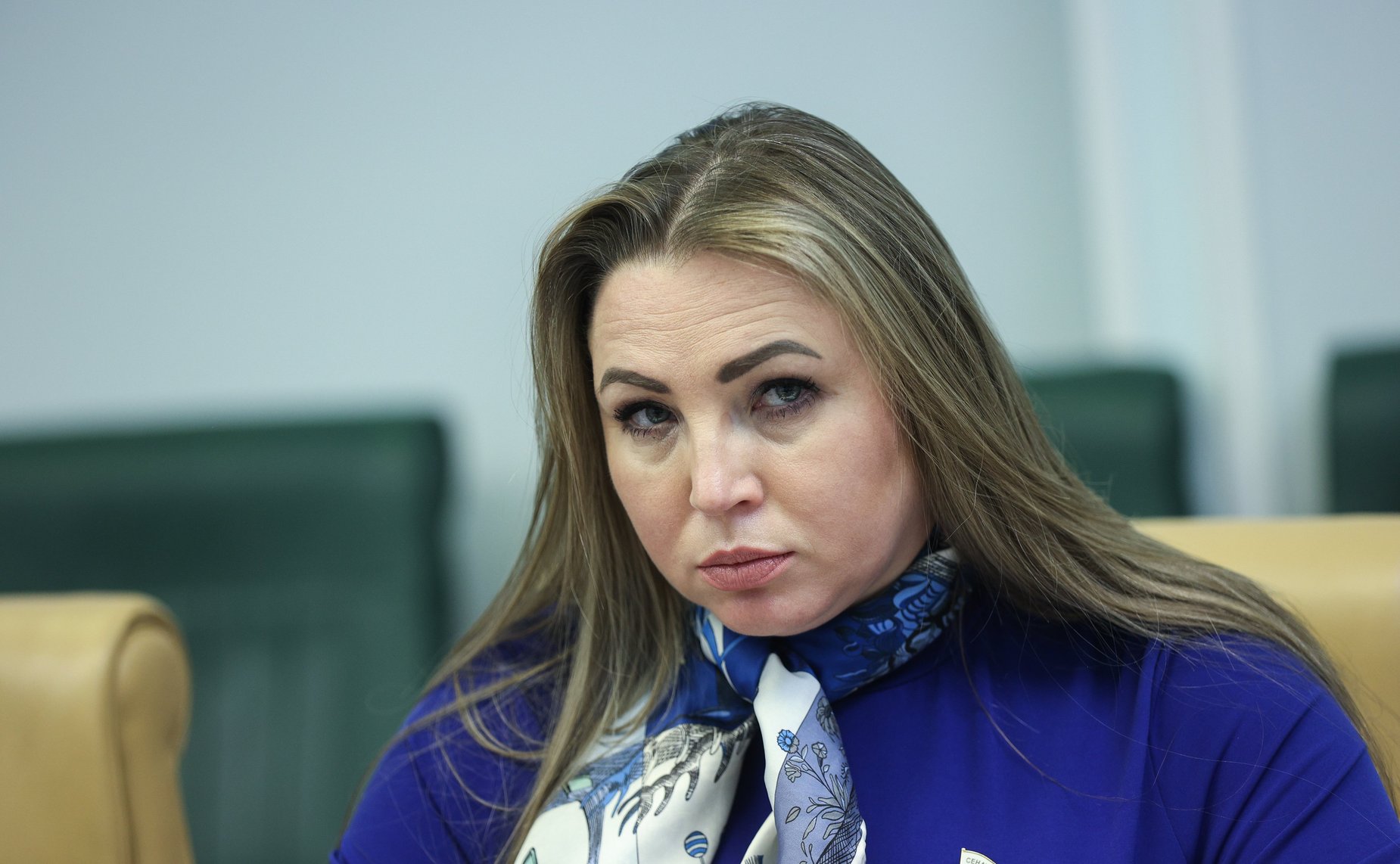 Круглый стол Комитета СФ по федеративному устройству, региональной политике, МСУ и делам Севера