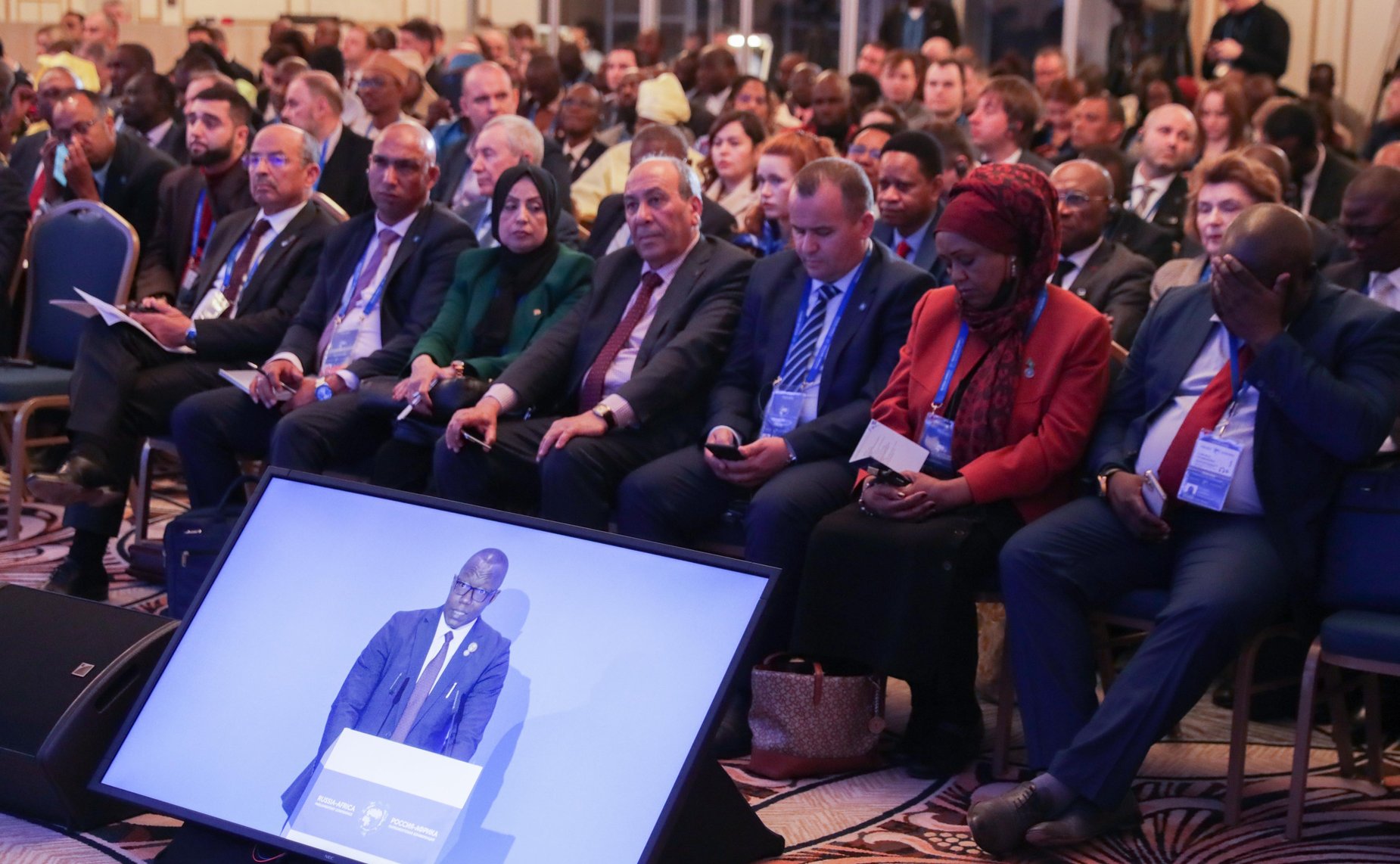 Сенаторы РФ приняли участие в заседании круглого стола «Неделимая безопасность: возможности и вклад парламентов»