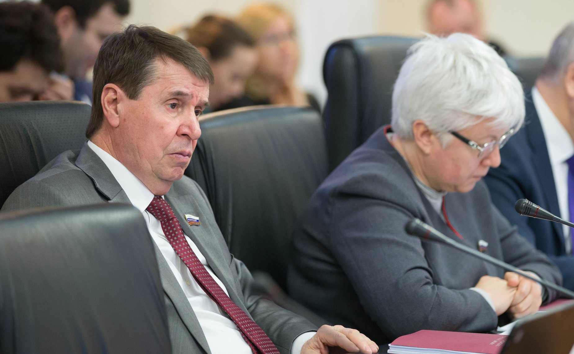 Расширенное заседание Комитета СФ по международным делам