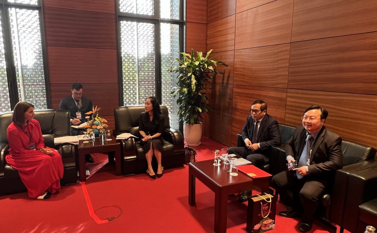 Встреча сенаторов РФ с членами Национального собрания Вьетнама во главе с заместителем председателя экономической комиссии Нацсобрания Вьетнама, заместителем председателя парламентской группы Вьетнам-Россия Доан Тхи Тхань Май