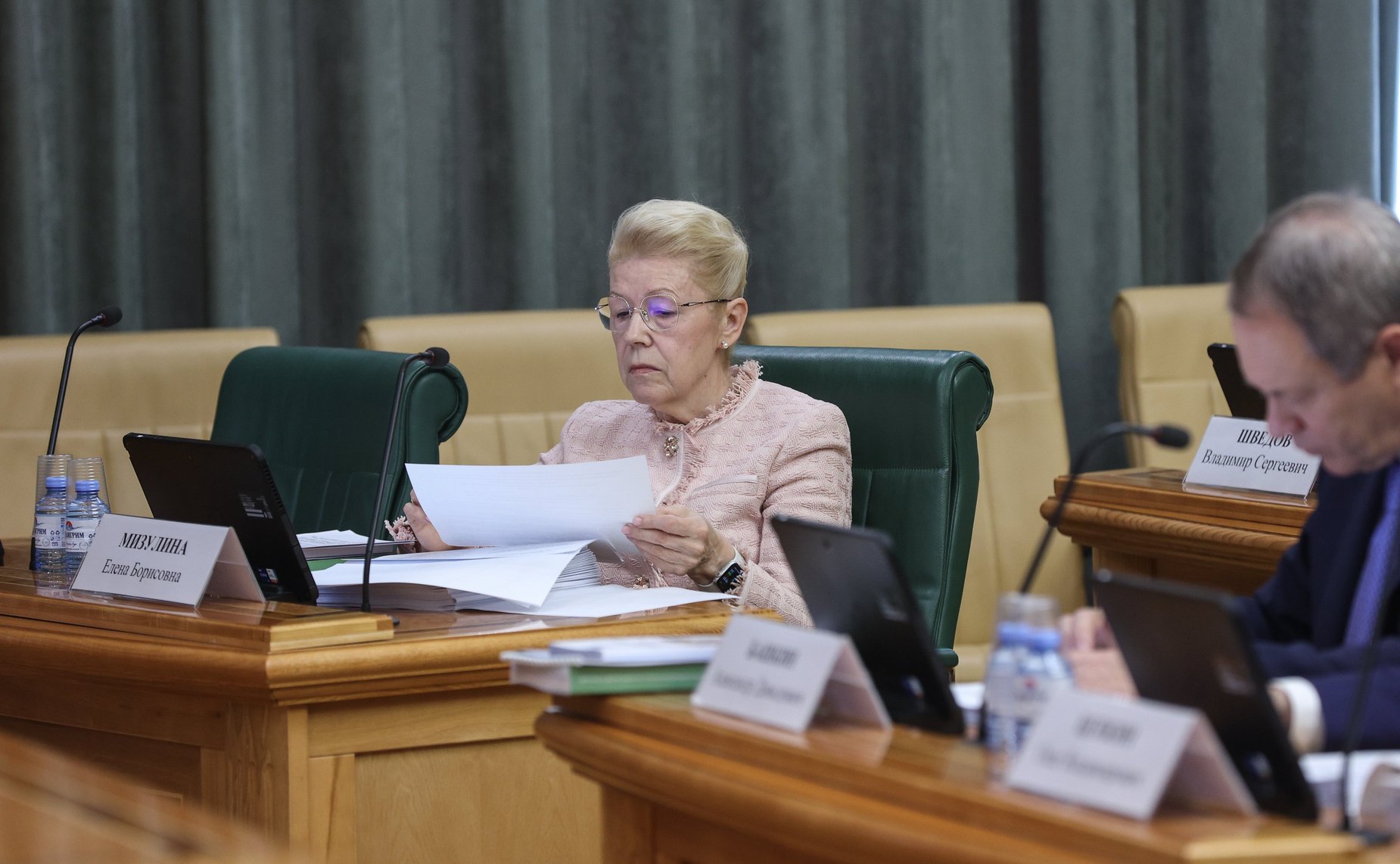 Елена Мизулина