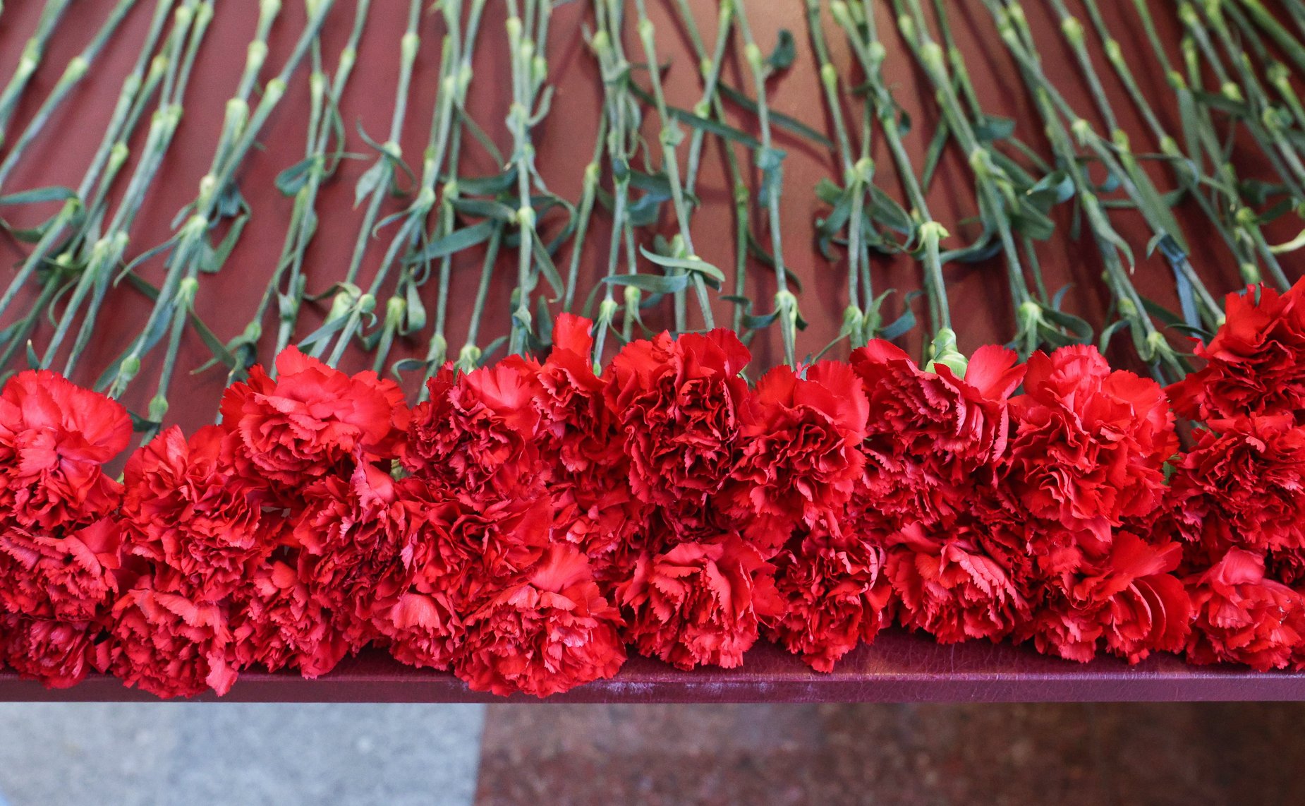 Ежегодная патриотическая акция, приуроченная ко Дню Неизвестного Солдата