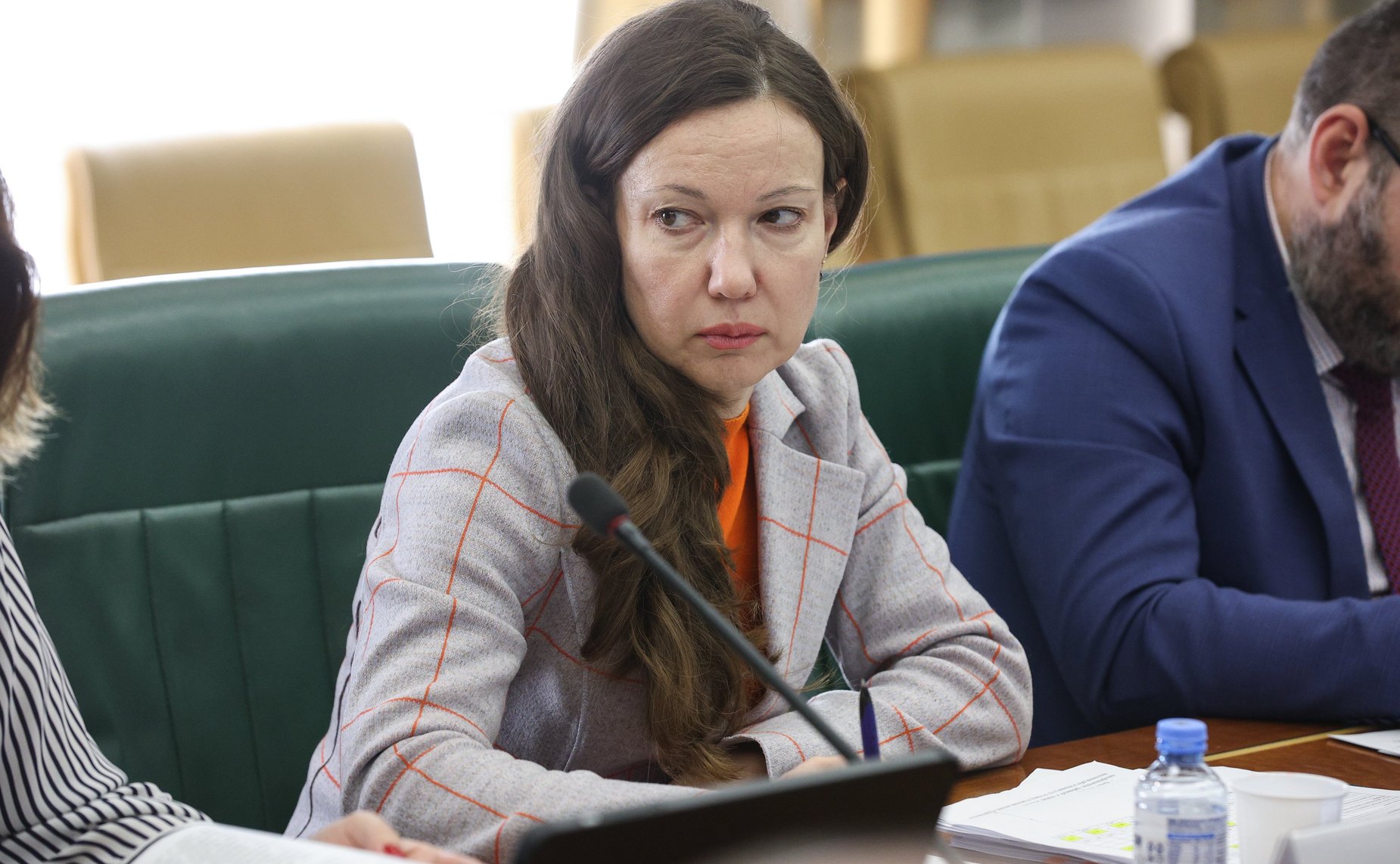 Заседание рабочей группы Совета по вопросам результатов правоприменения федерального закона, направленного на федерализацию полномочий по лесоустройству