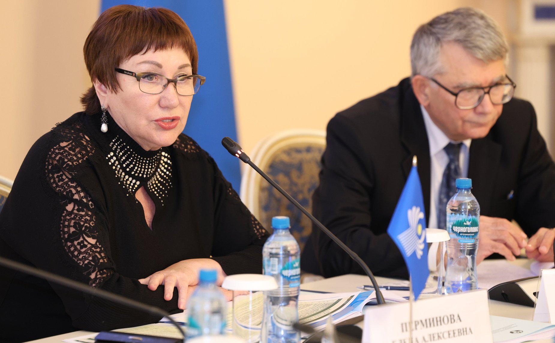 Елена Перминова