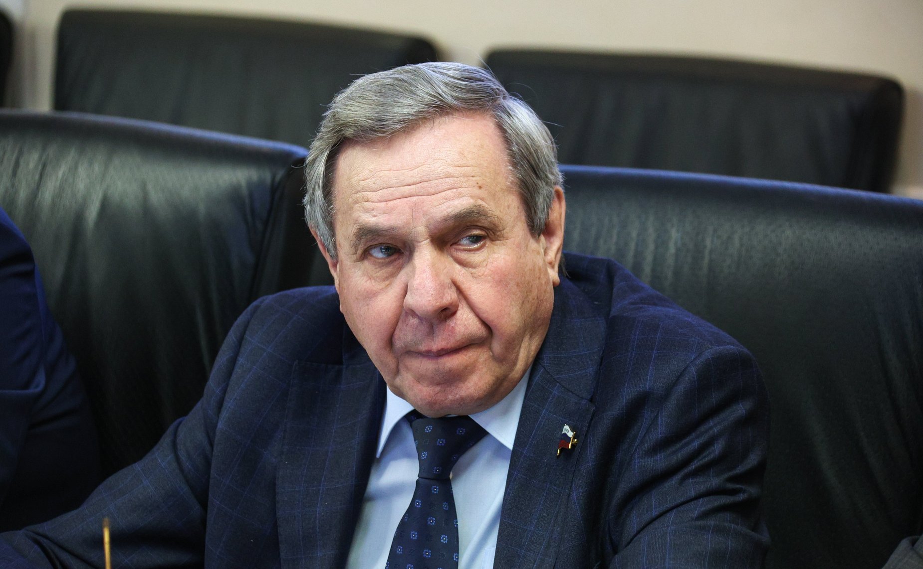 Владимир Городецкий