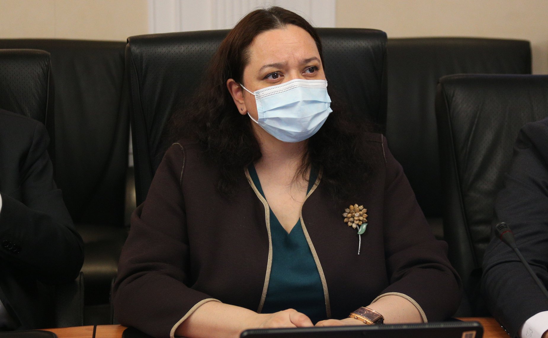 Заседание Комитета СФ по международным делам