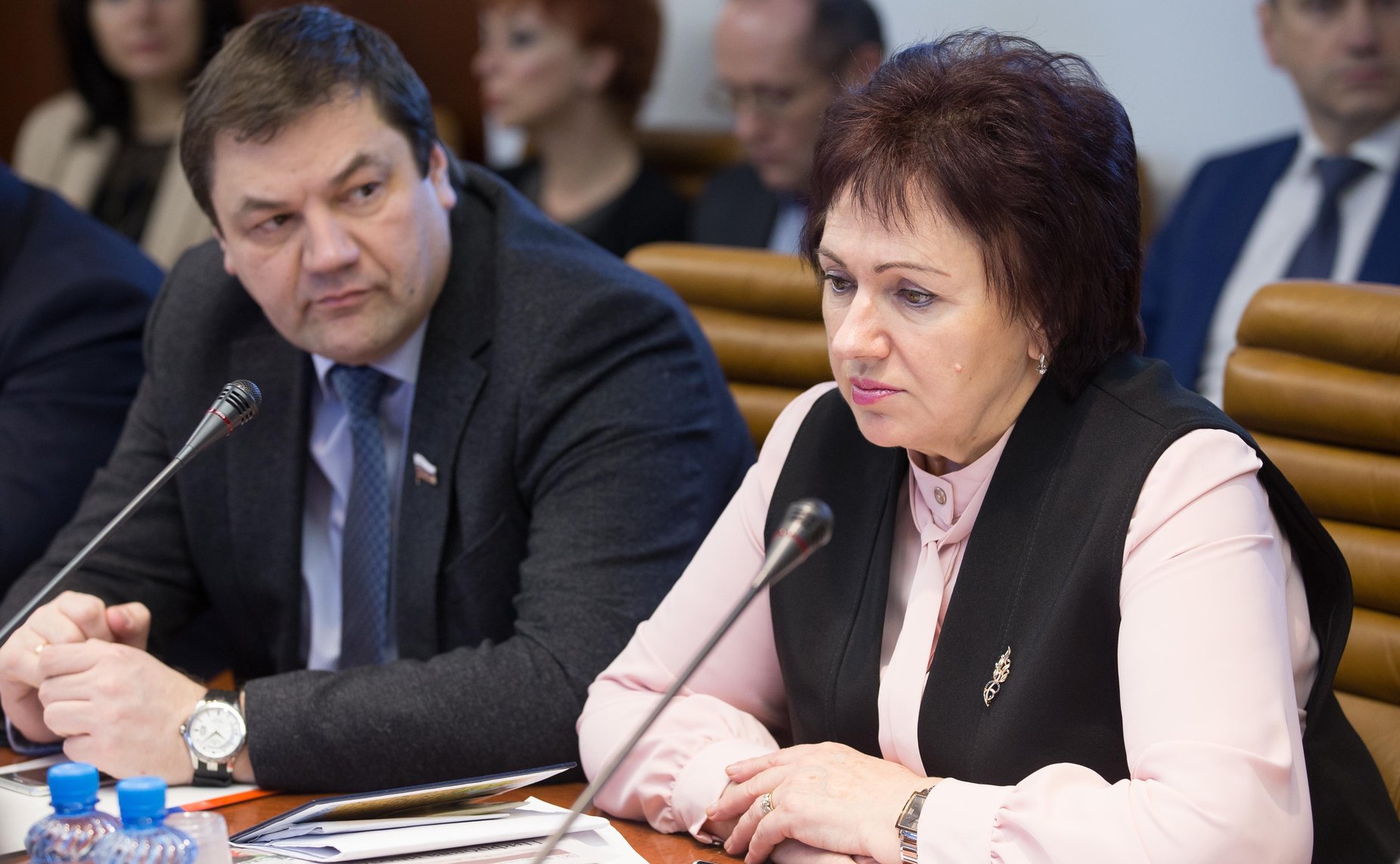 Е. Бибикова