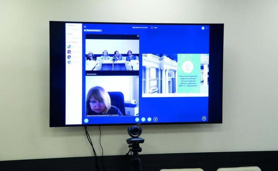 Елена Писарева провела круглый стол на тему «Ресурсы и перспективы модернизации программ подготовки кадров для системы образования детей с инвалидностью и ограниченными возможностями здоровья»