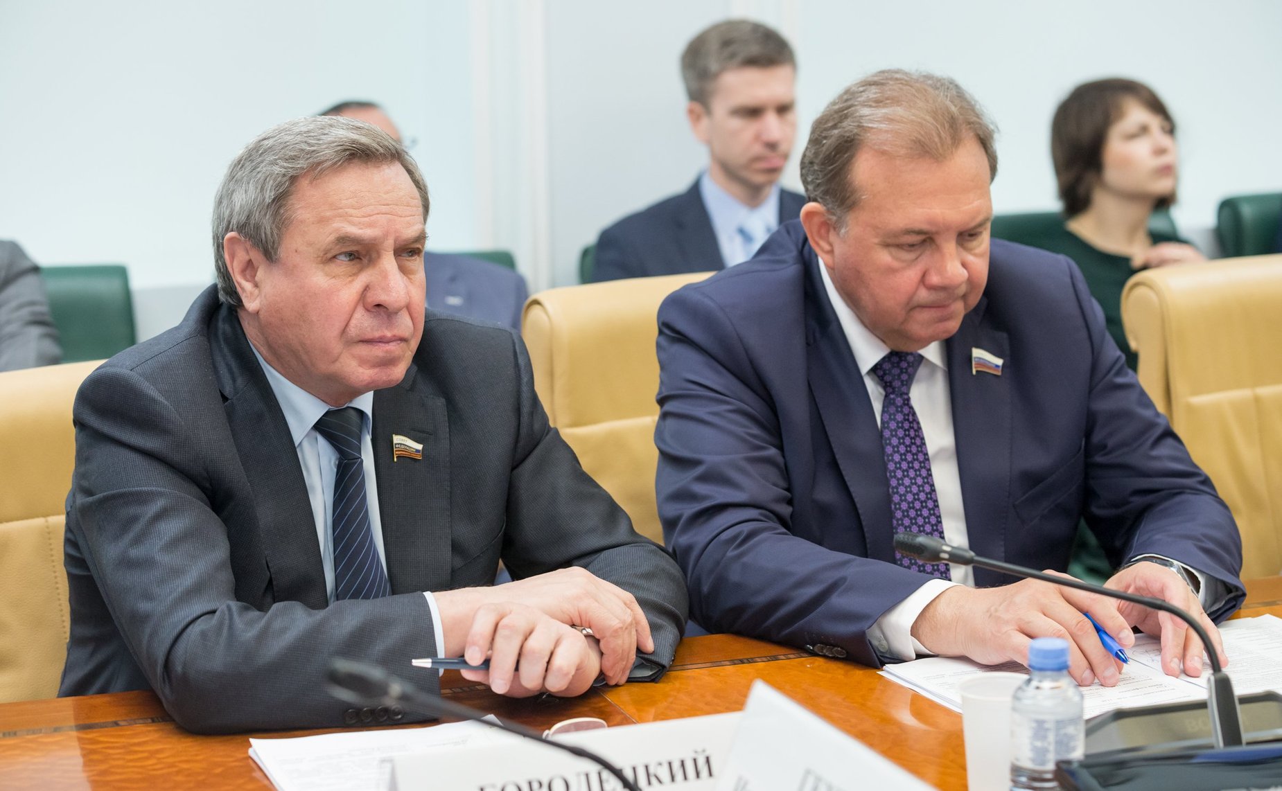 Владимир Городецкий