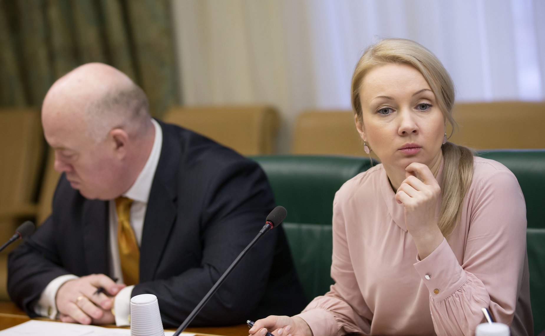 Заседание временной рабочей группы по рассмотрению вопросов создания благоприятных условий для обеспечения интереса иностранных граждан к получению образования в России