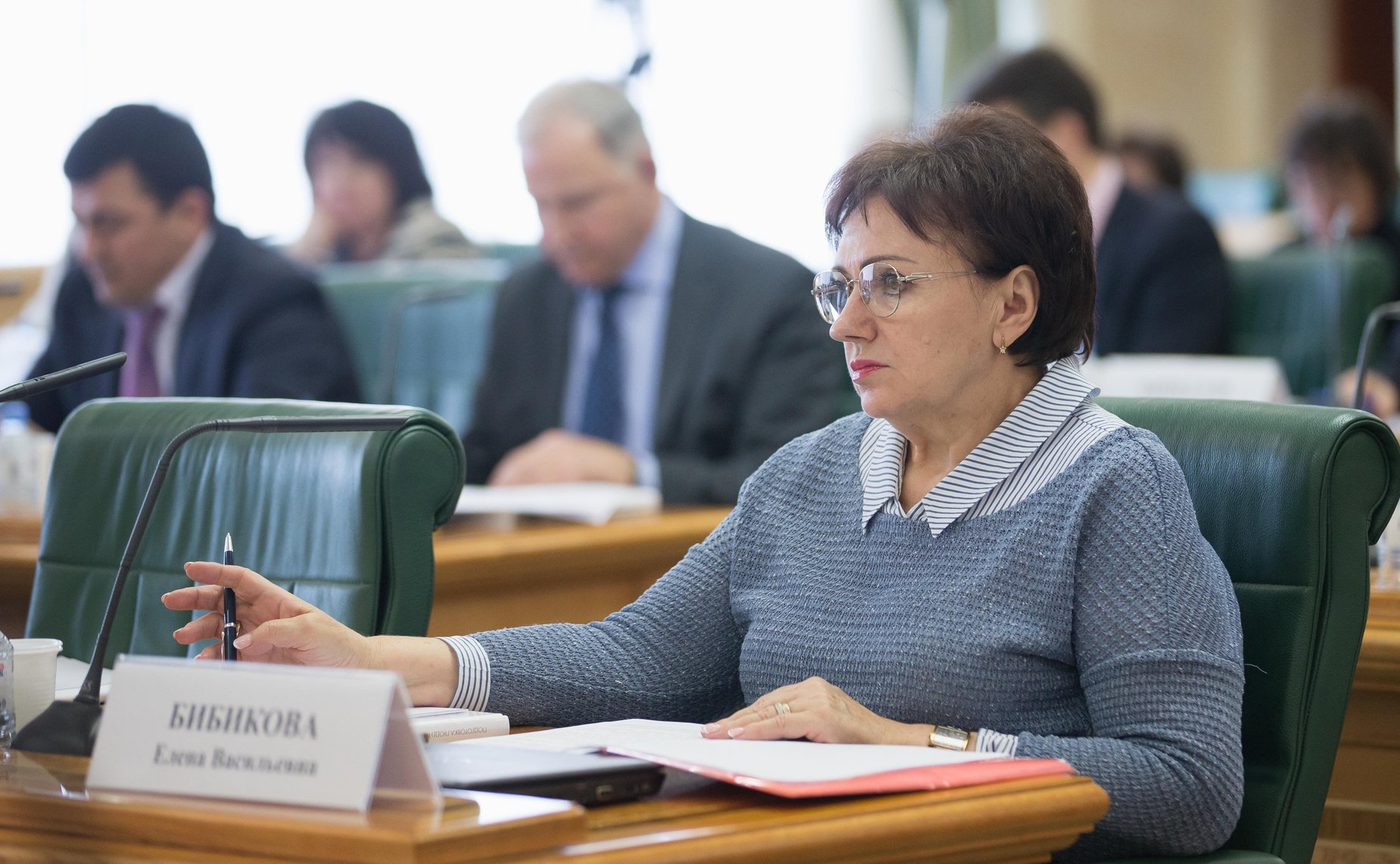 Елена Бибикова