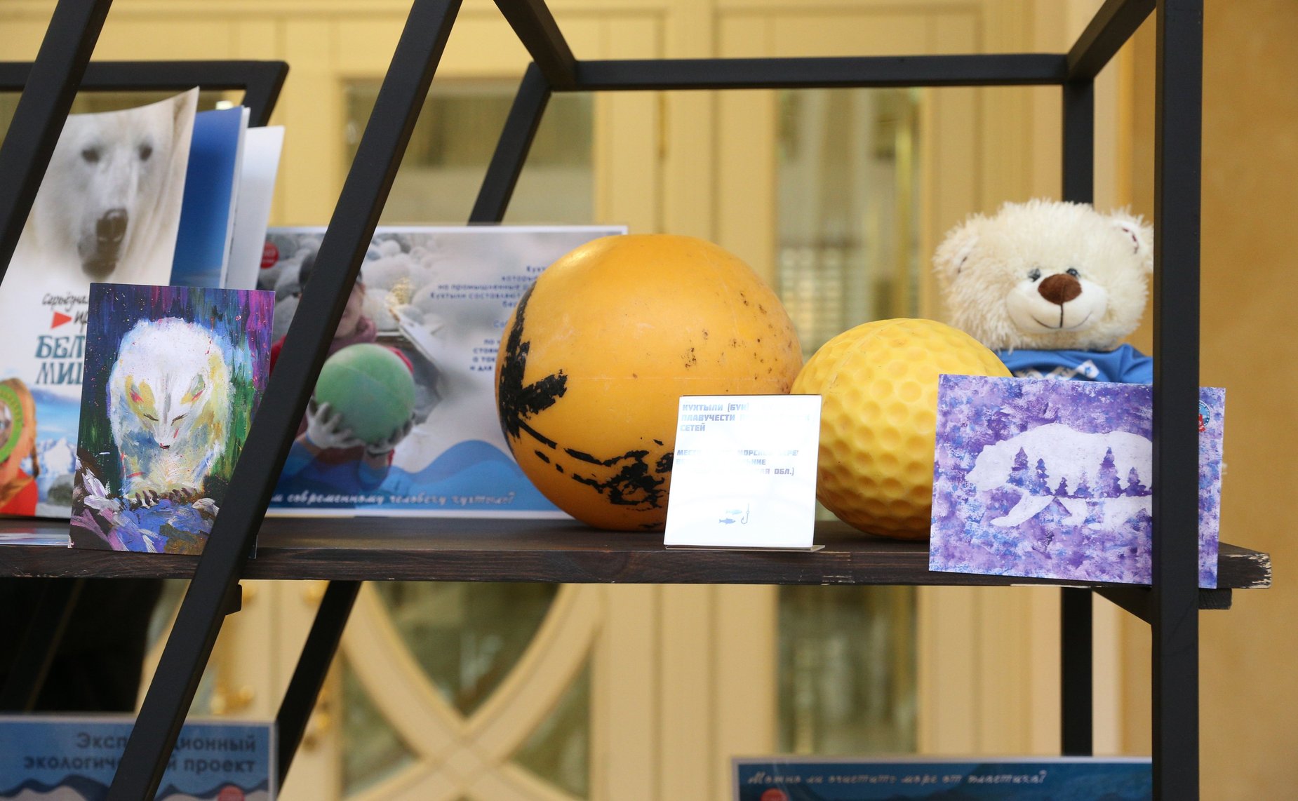 Открытие в Совете Федерации фотовыставки «Арктика — для людей с характером», посвященной проекту по очистке арктической территории «Чистая Арктика»