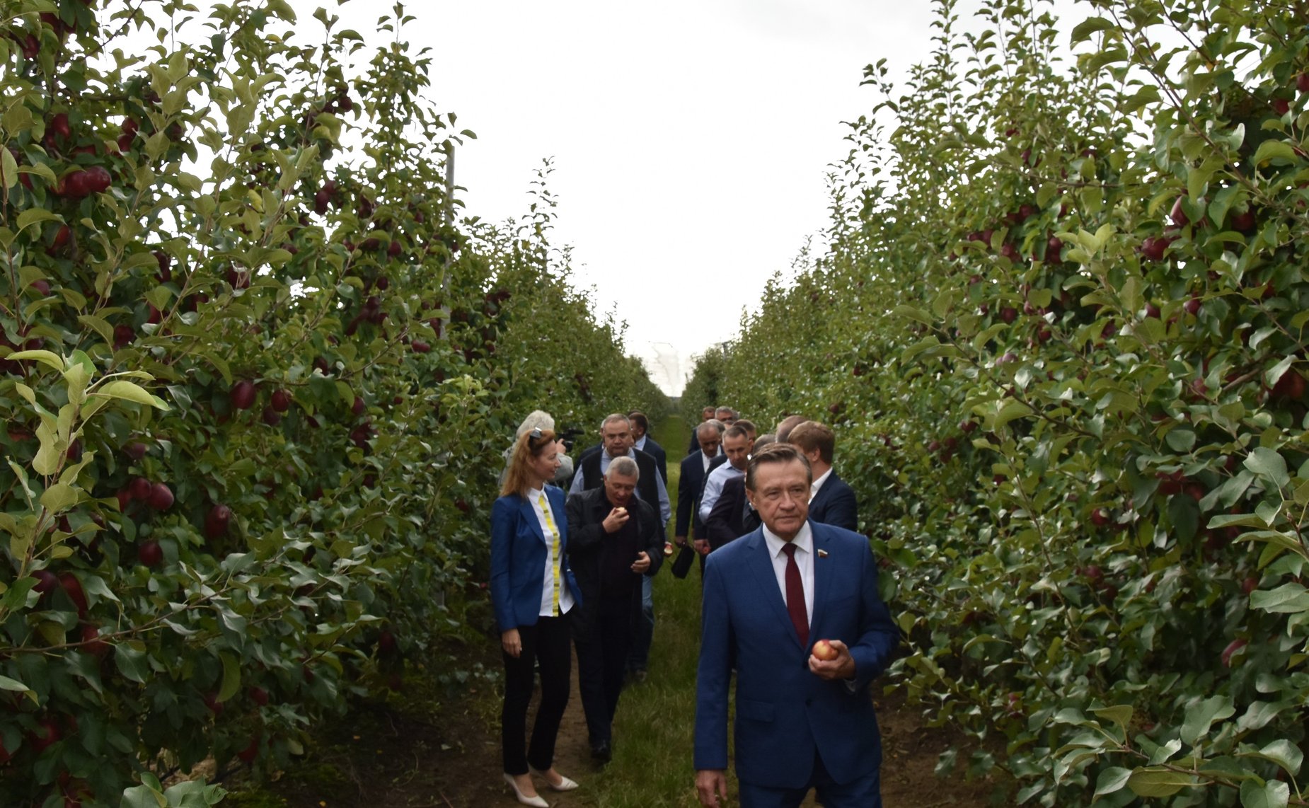 Сергей Митин провел совещание на тему «Совершенствование норм правого регулирования и механизмов государственной защиты российского рынка сельскохозяйственной продукции от недобросовестной конкуренции (на примере рынка плодов)»