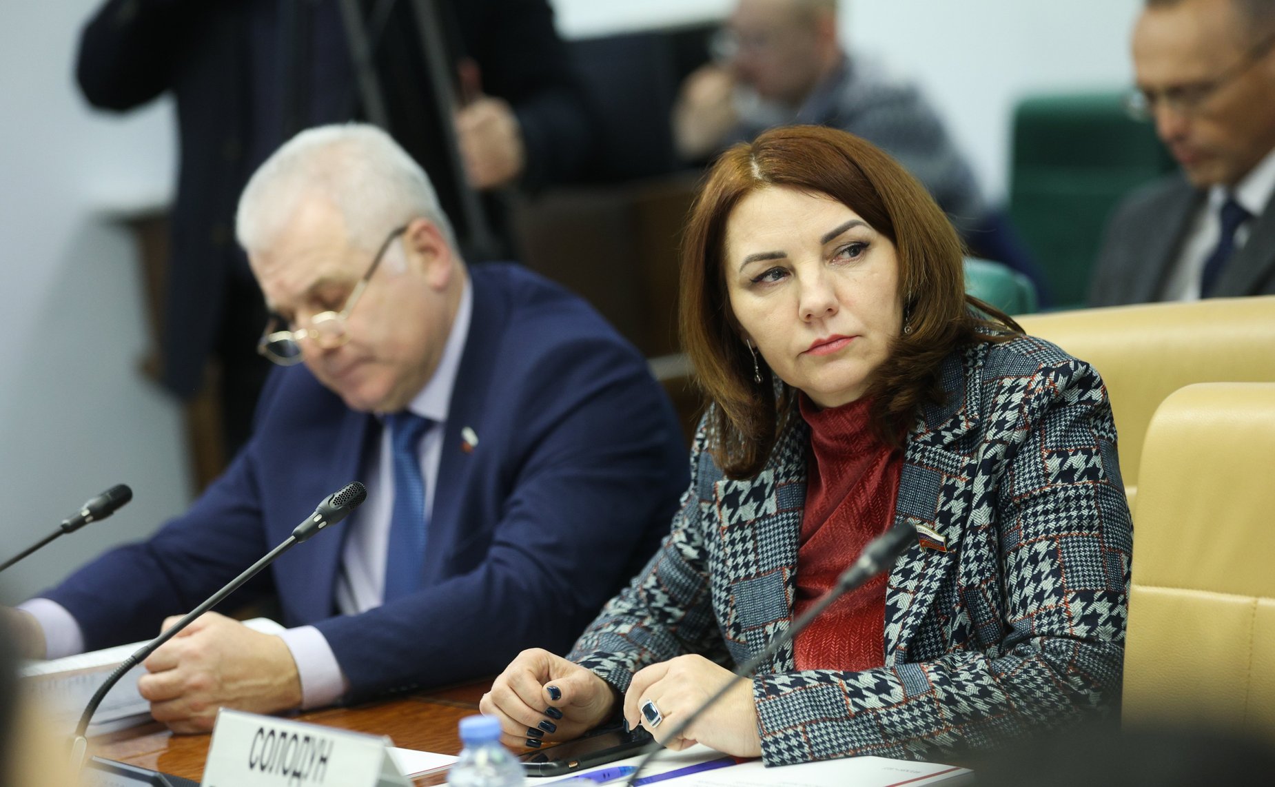 Круглый стол Комитета СФ по федеративному устройству, региональной политике, МСУ и делам Севера