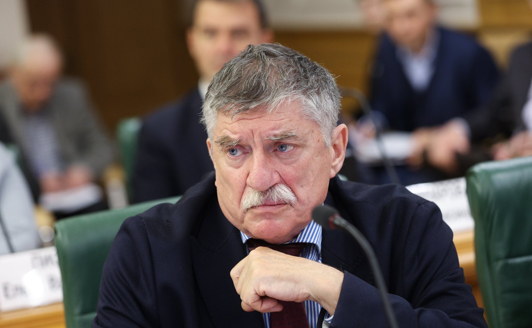 Парламентские слушания на тему «Об основных положениях проектируемой стратегии пространственного развития Российской Федерации на период до 2030 года»