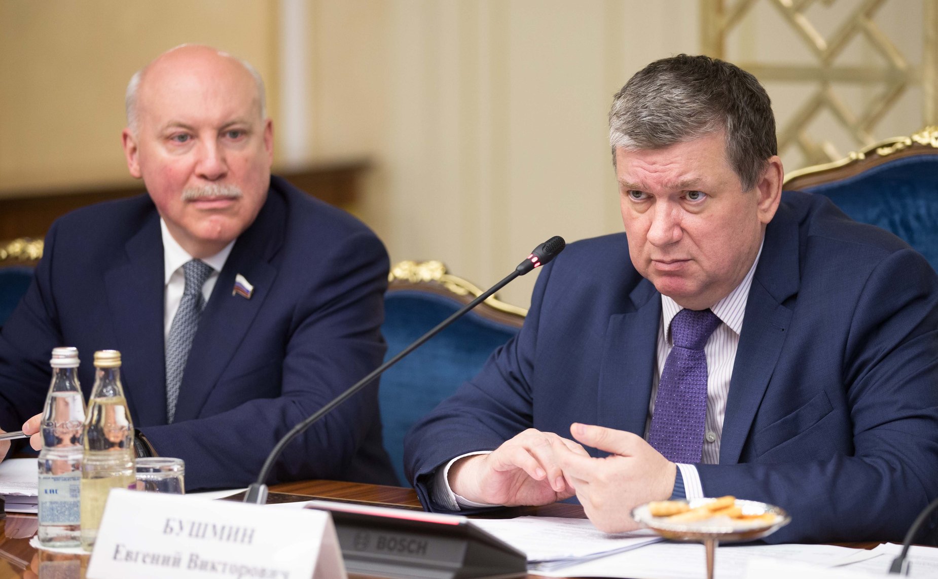 Д. Мезенцев и Е. Бушмин