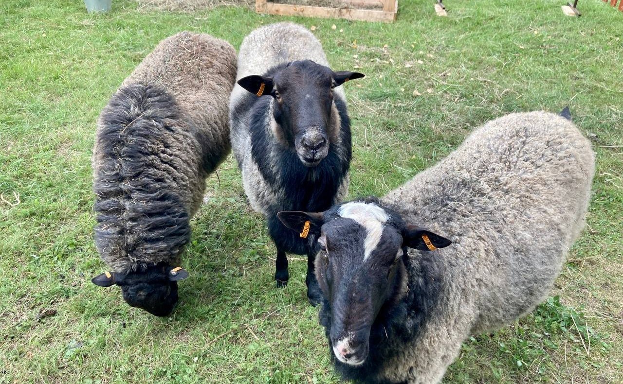 Анатолий Артамонов и Александр Савин посетили мемориальный комплекс «Безымянная высота» в Куйбышевском районе Калужской области