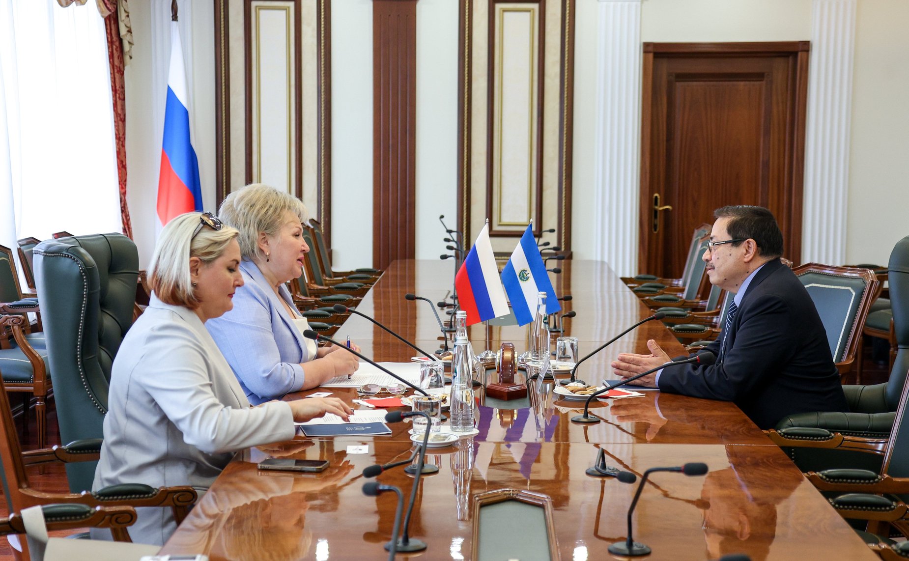 Встреча Елены Писаревой с Чрезвычайным и Полномочным Послом Республики Эль-Сальвадор в Российской Федерации Юрием Павлом Сантакрусом Пердомо